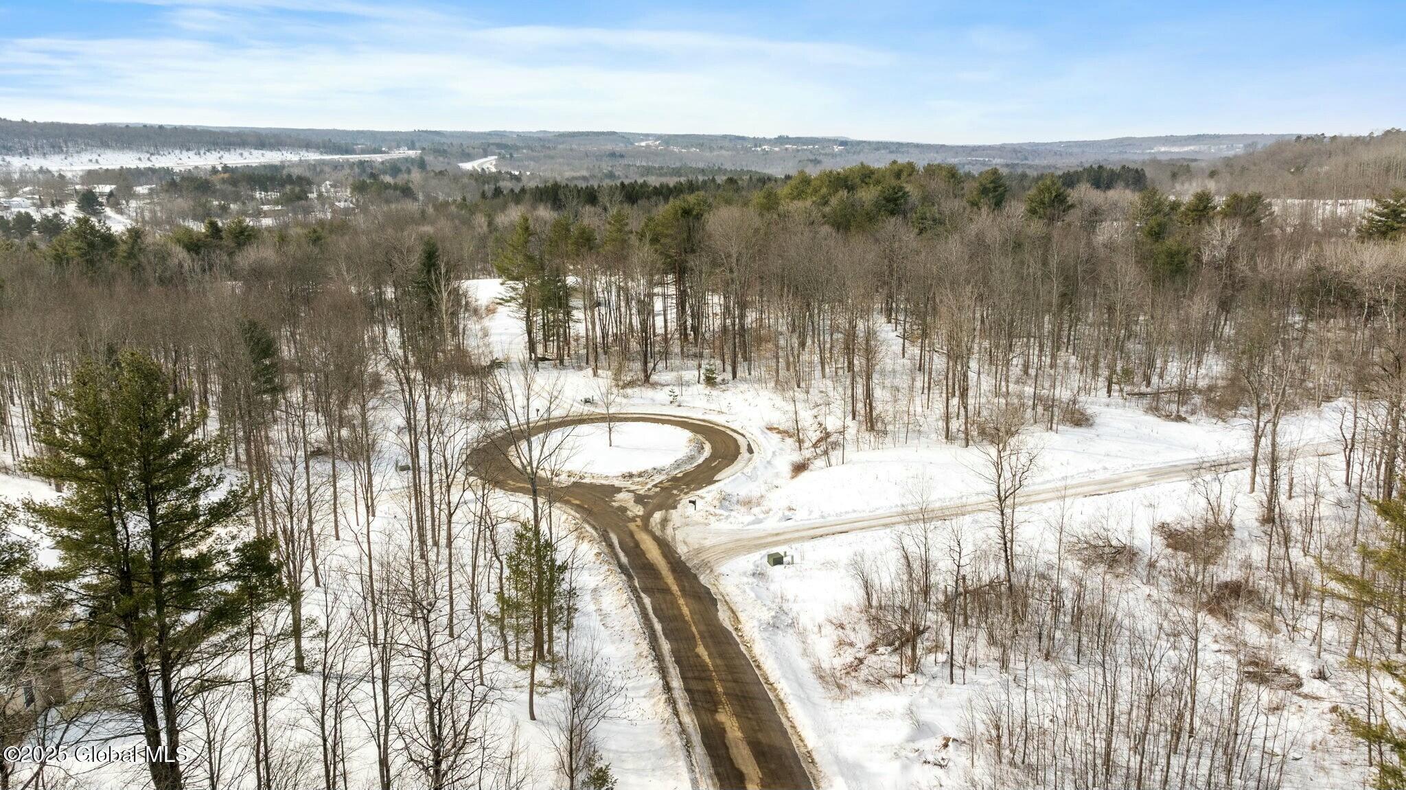 272 Woodstone Circle, Duanesburg, New York image 8