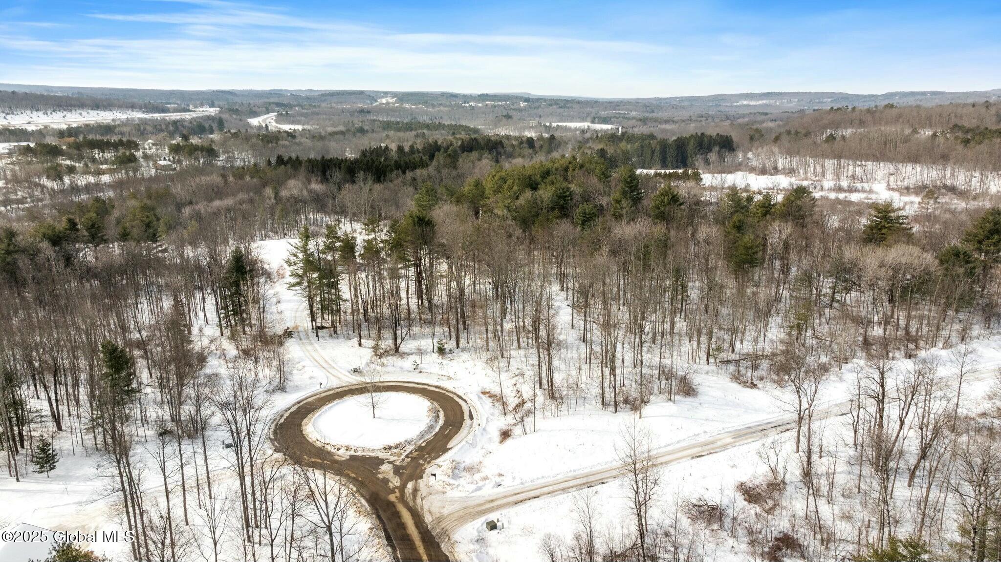 272 Woodstone Circle, Duanesburg, New York image 13