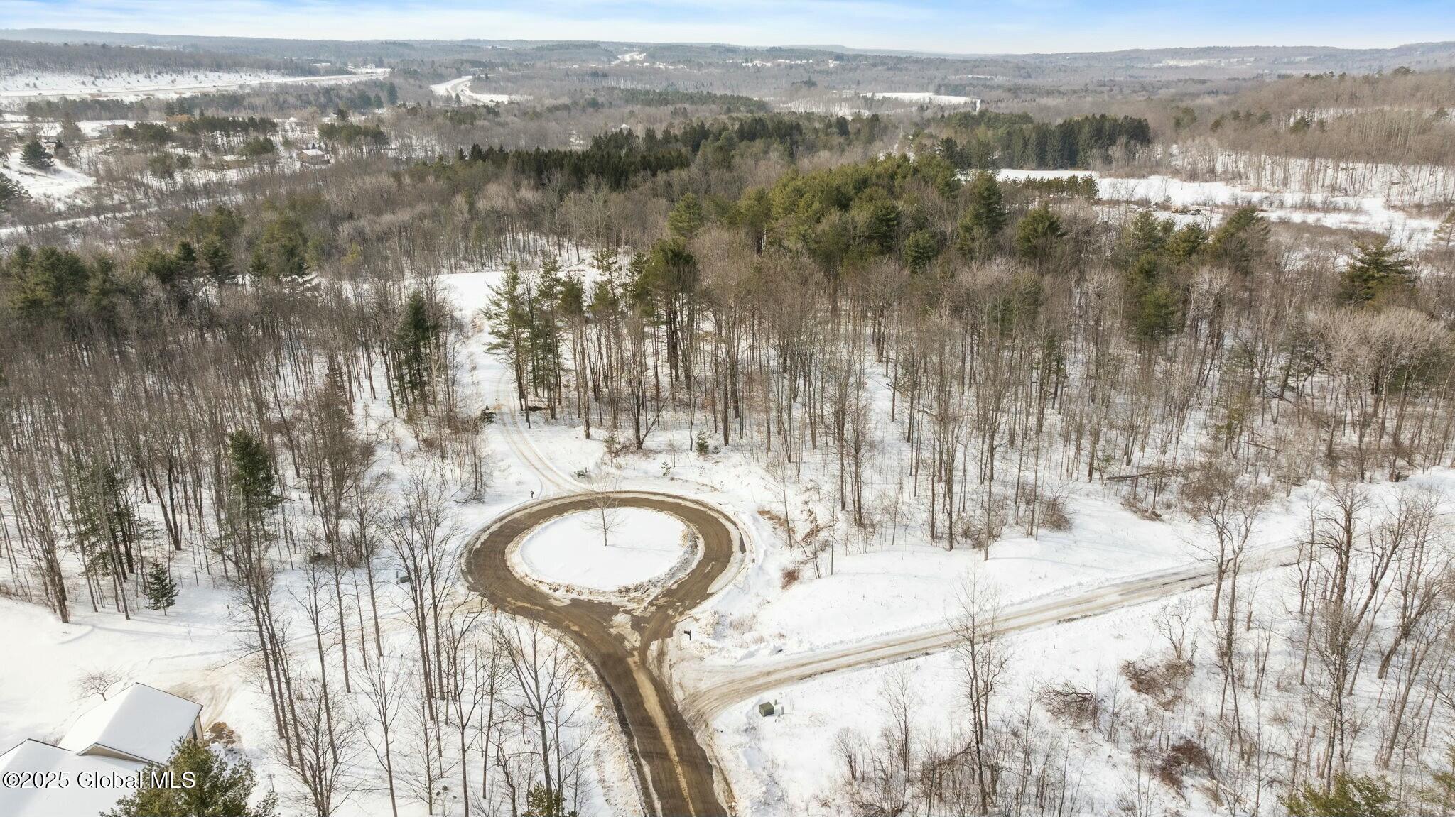 272 Woodstone Circle, Duanesburg, New York image 10