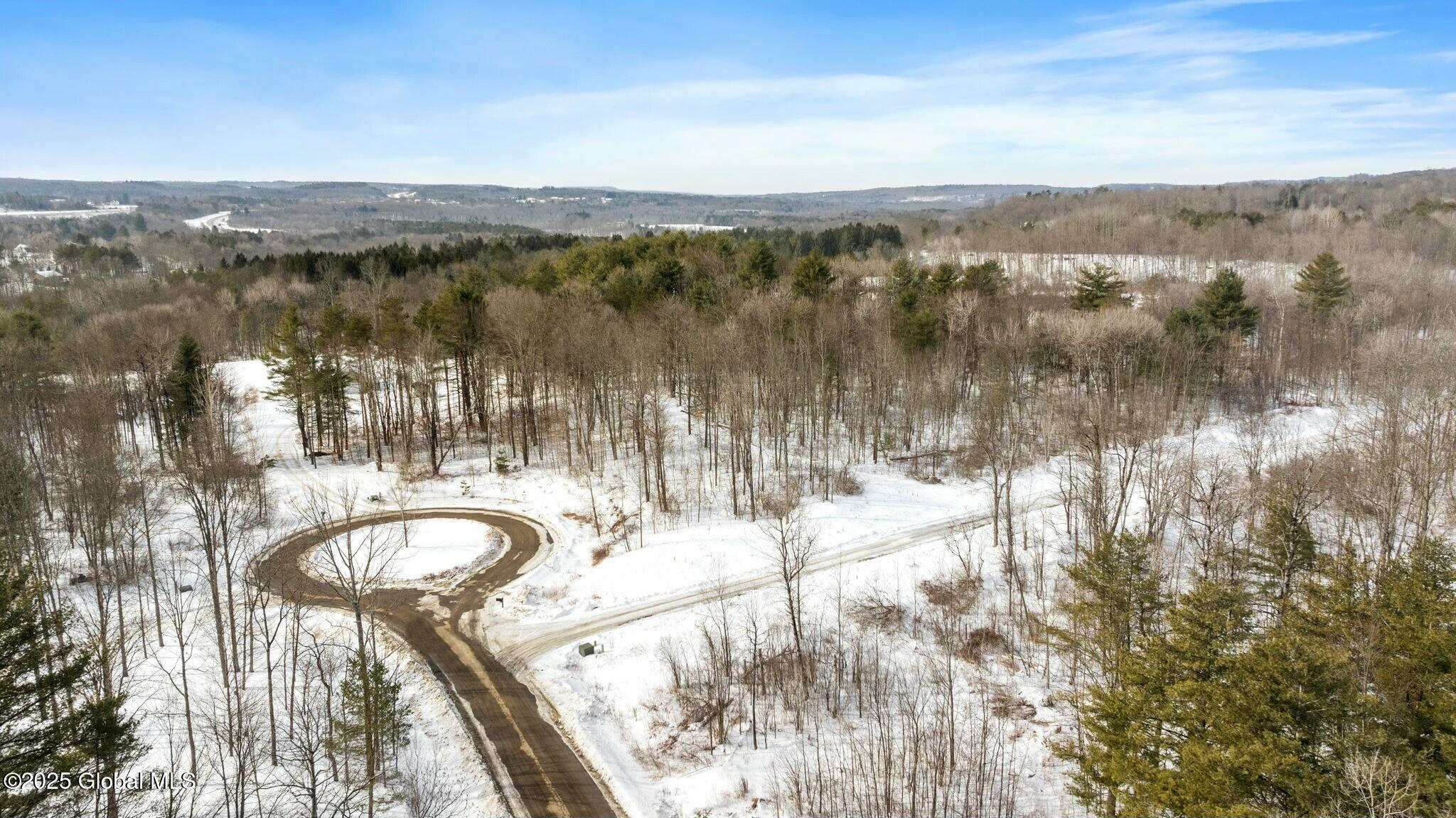 272 Woodstone Circle, Duanesburg, New York image 4