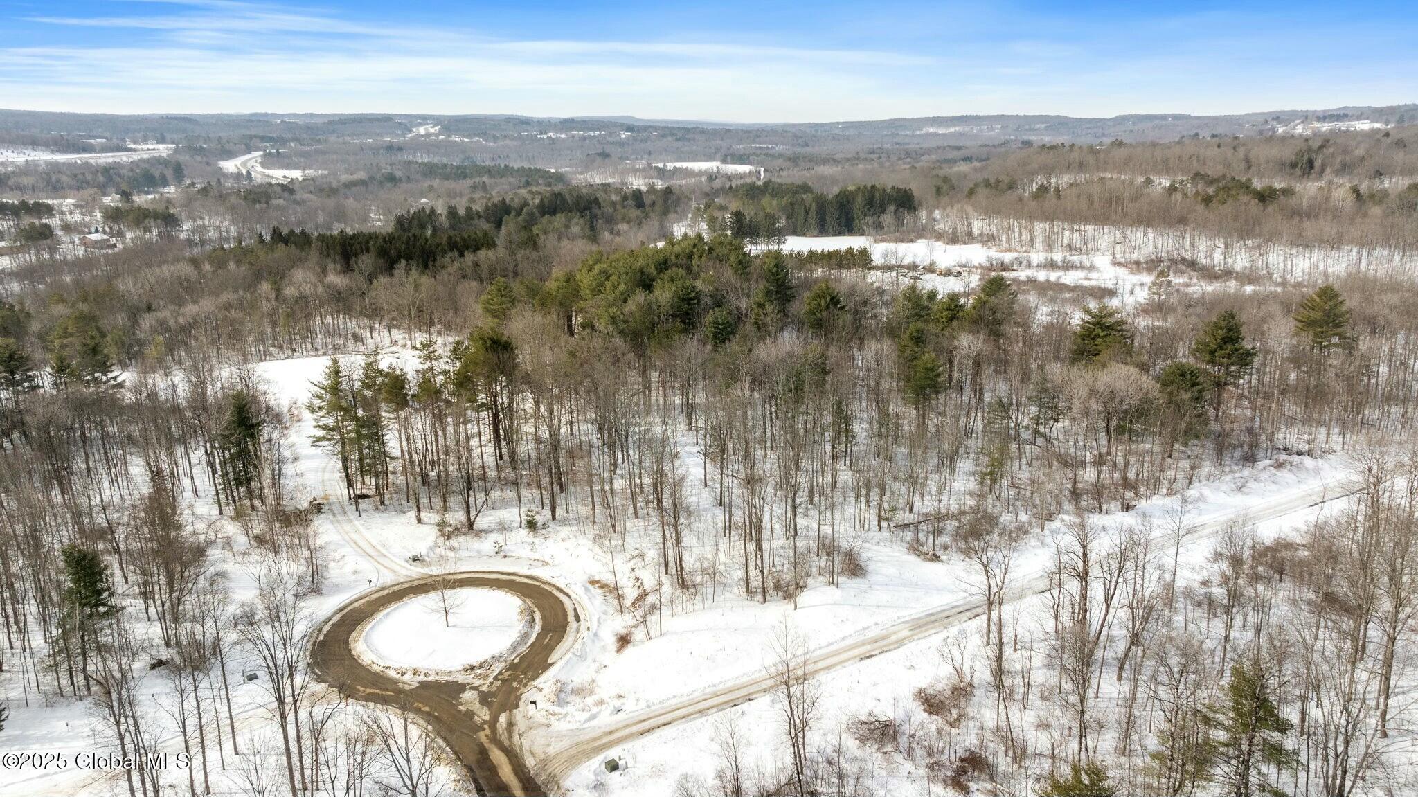 272 Woodstone Circle, Duanesburg, New York image 6