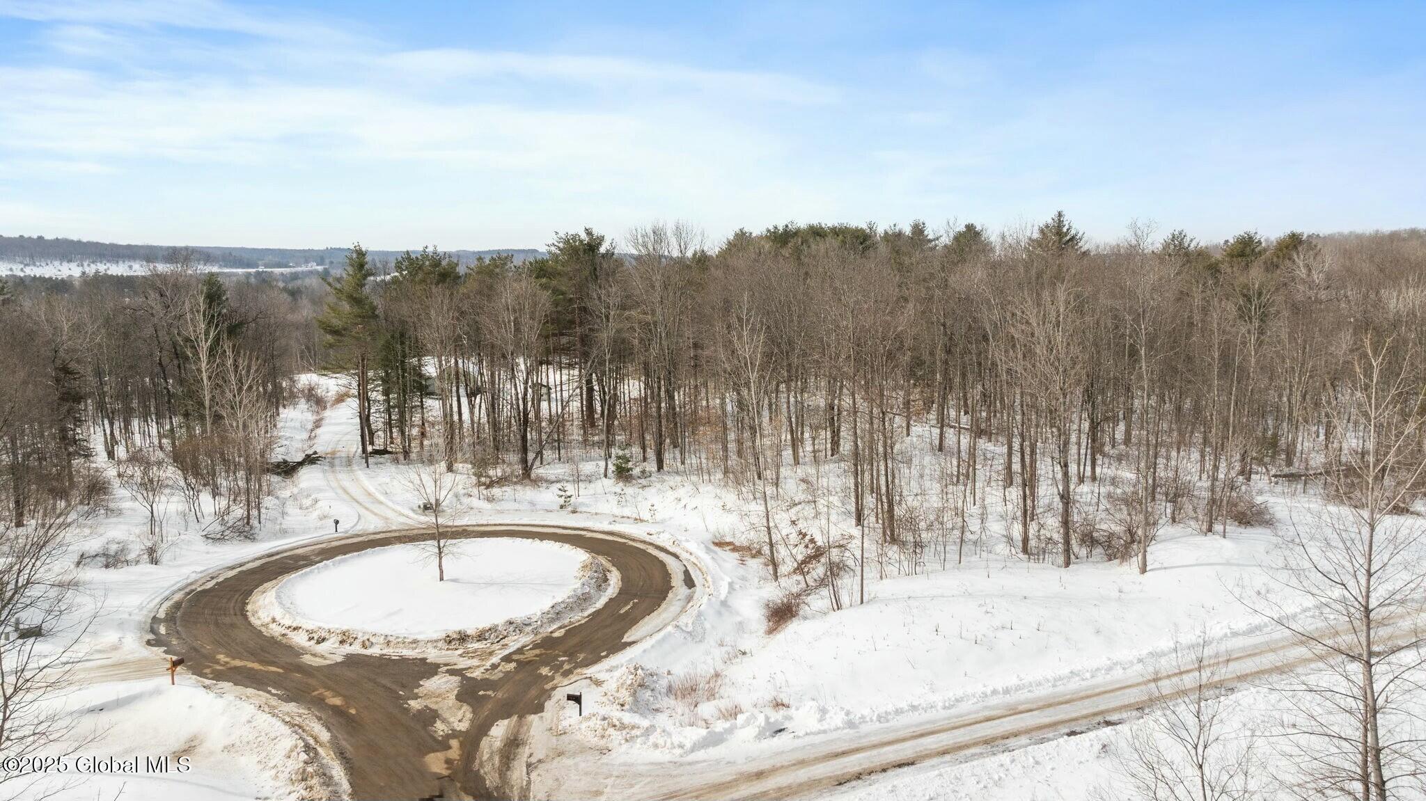272 Woodstone Circle, Duanesburg, New York image 1