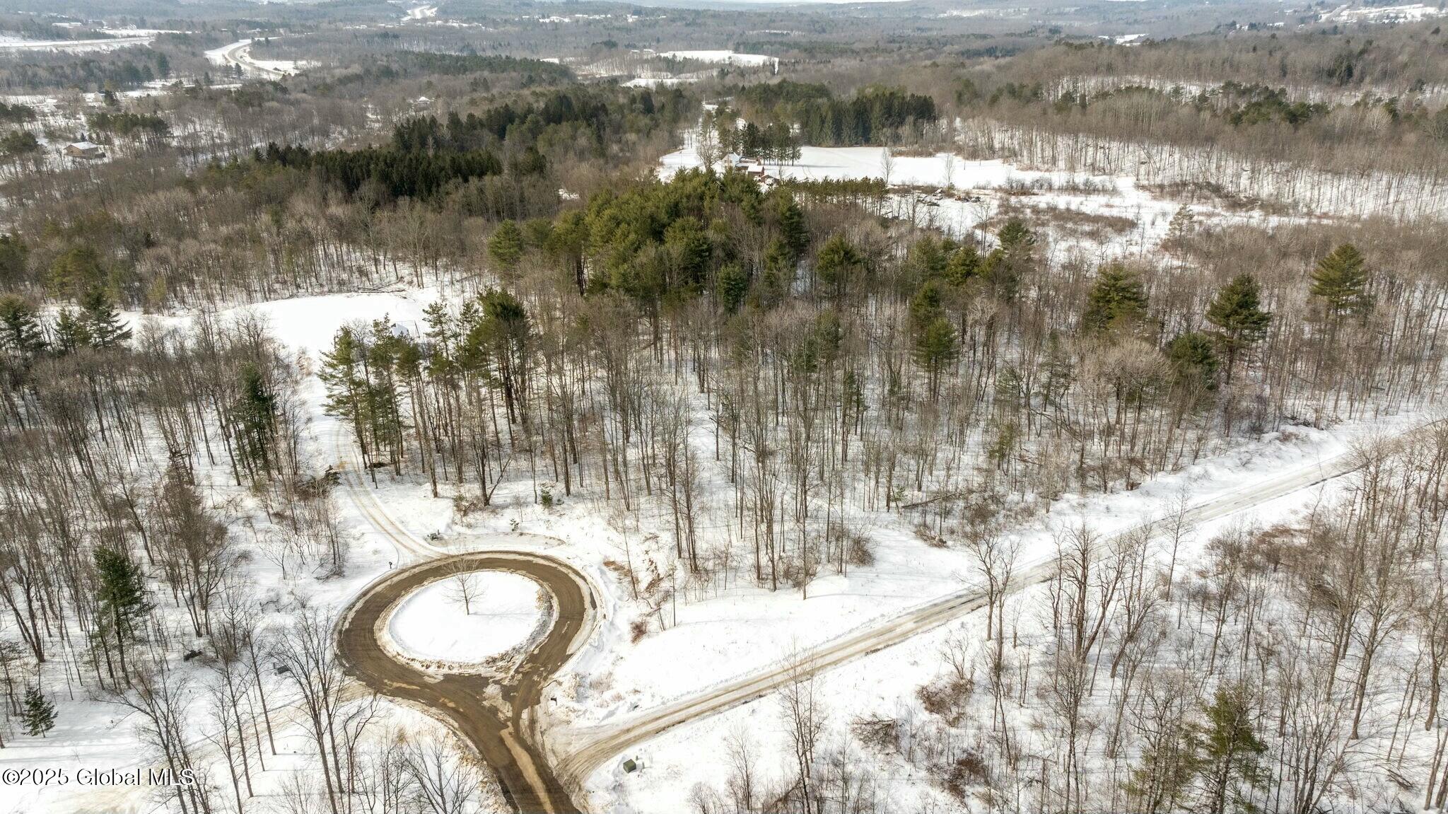 272 Woodstone Circle, Duanesburg, New York image 7