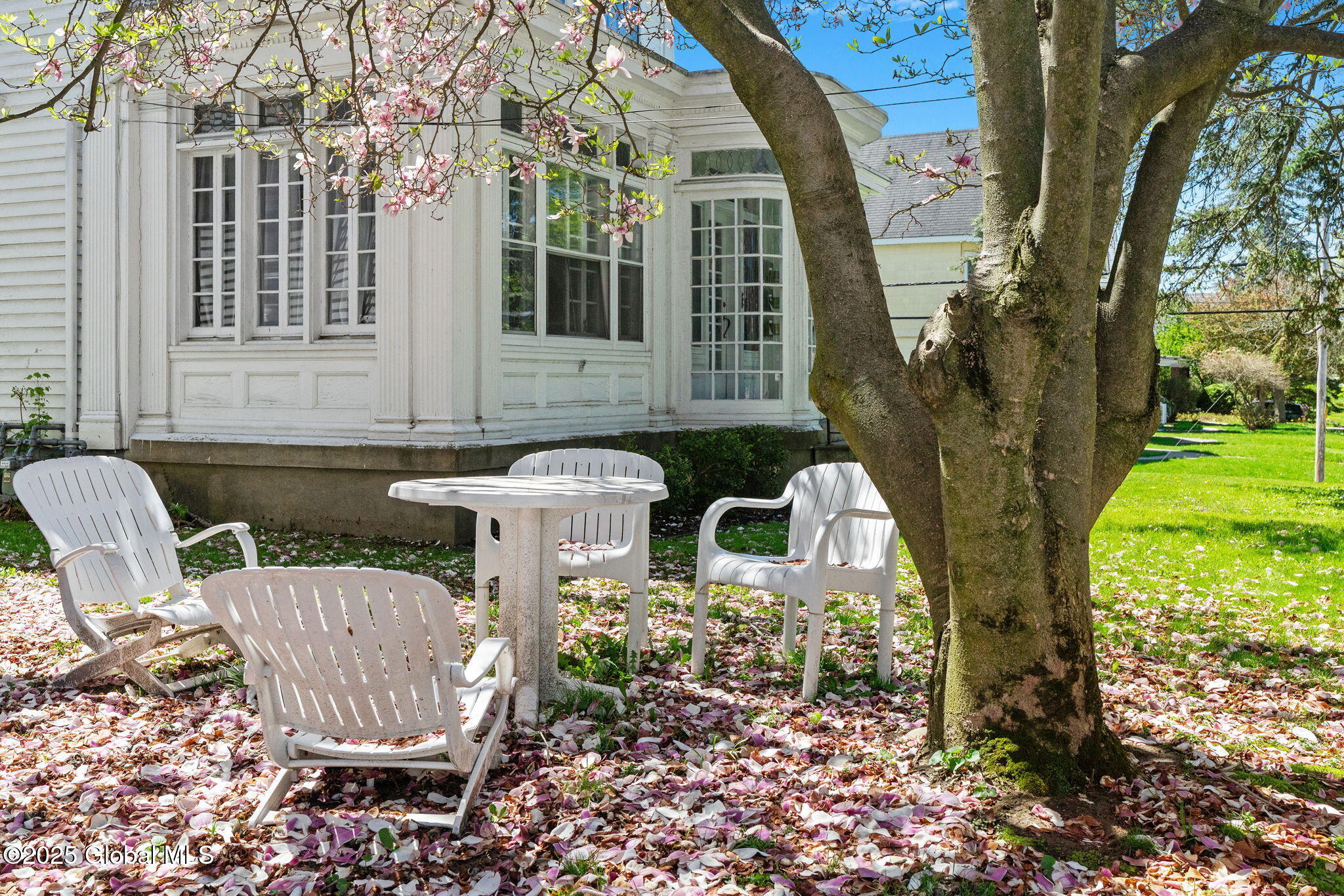 49 S Allen Street, Albany, New York image 3