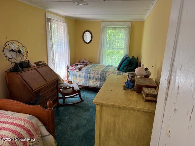 42 Overbrook Rd Rd, Hague, New York image 2