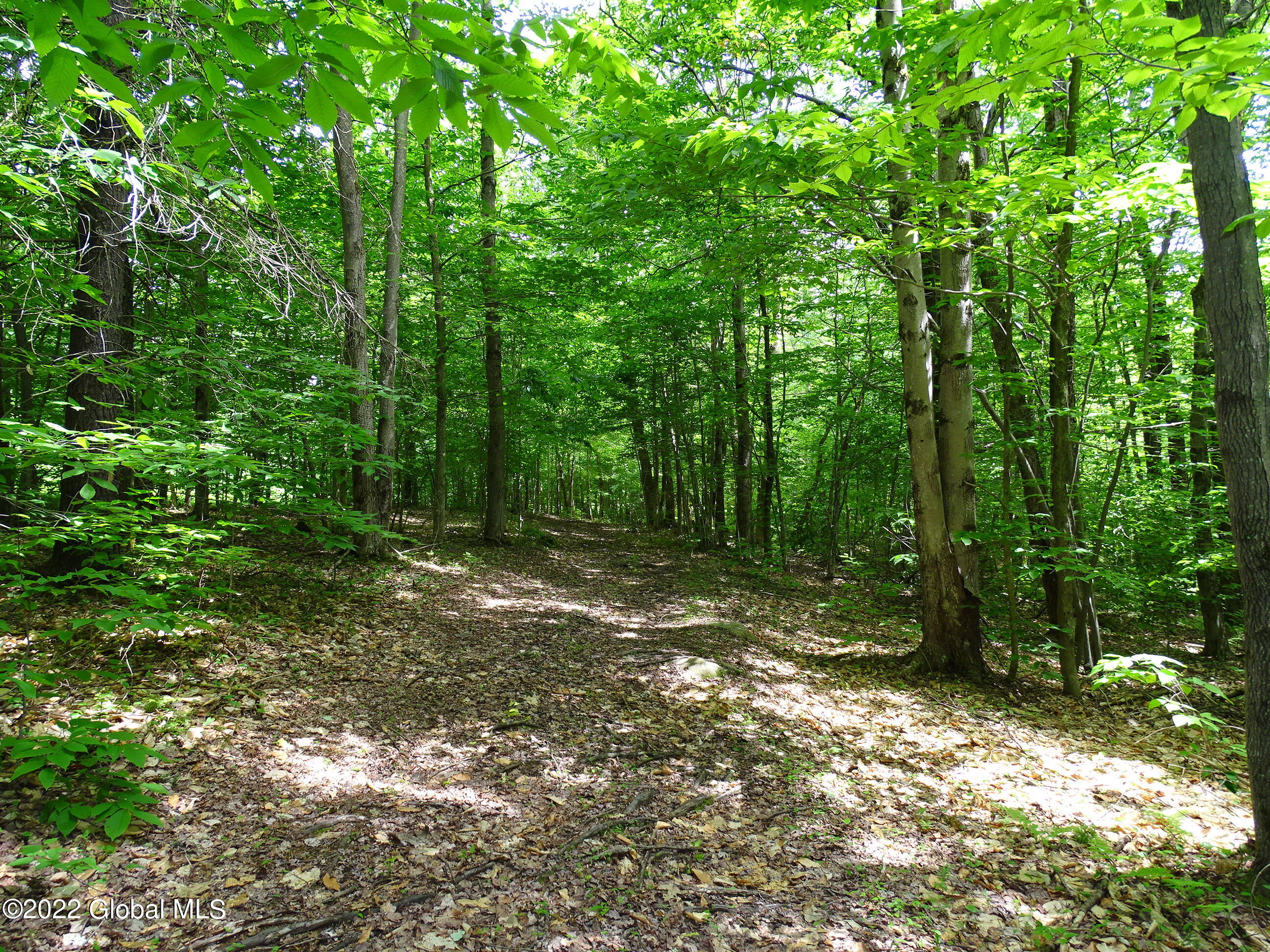 528 Dyken Pond Road, Petersburgh, New York image 28