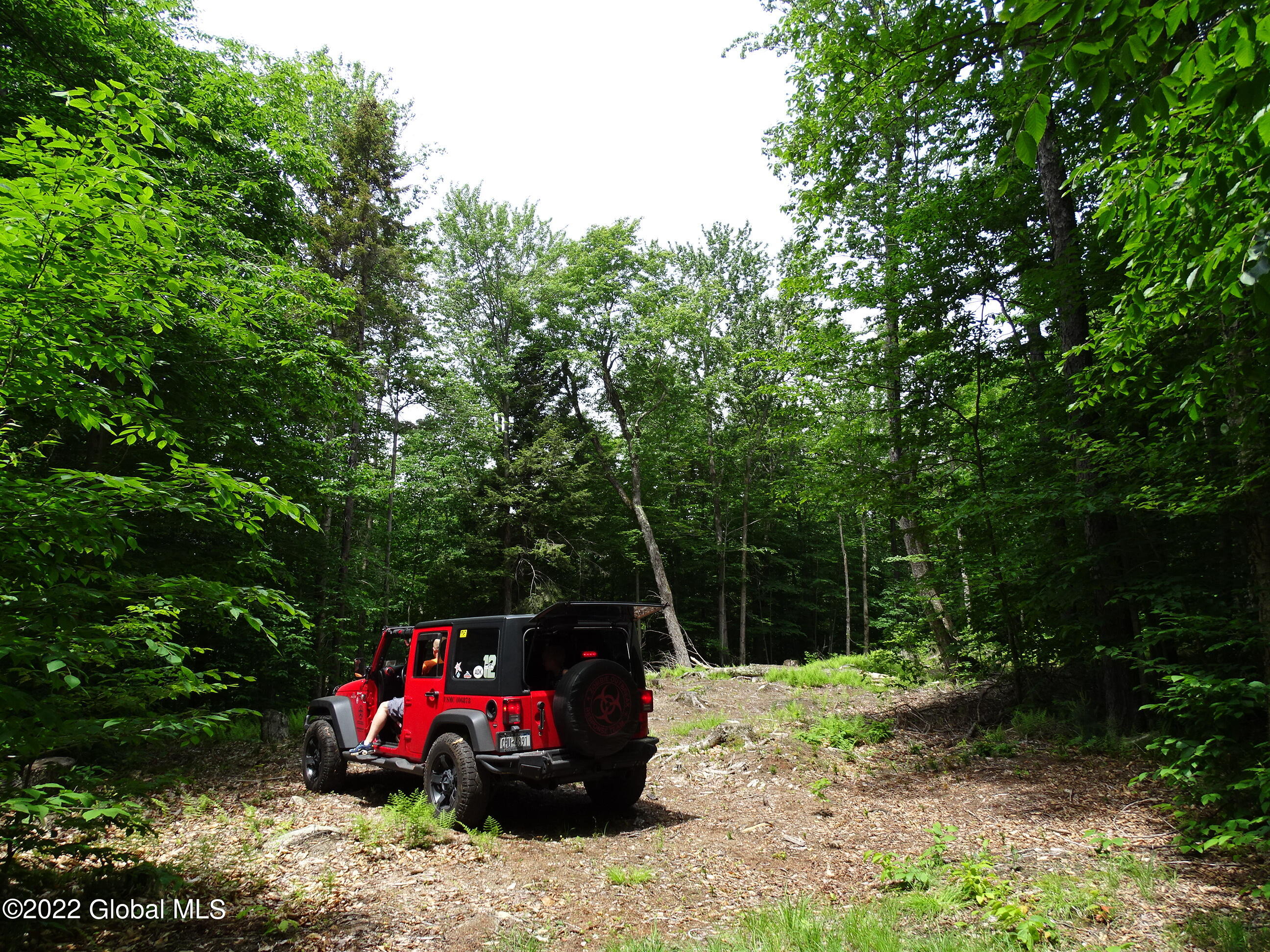 528 Dyken Pond Road, Petersburgh, New York image 33