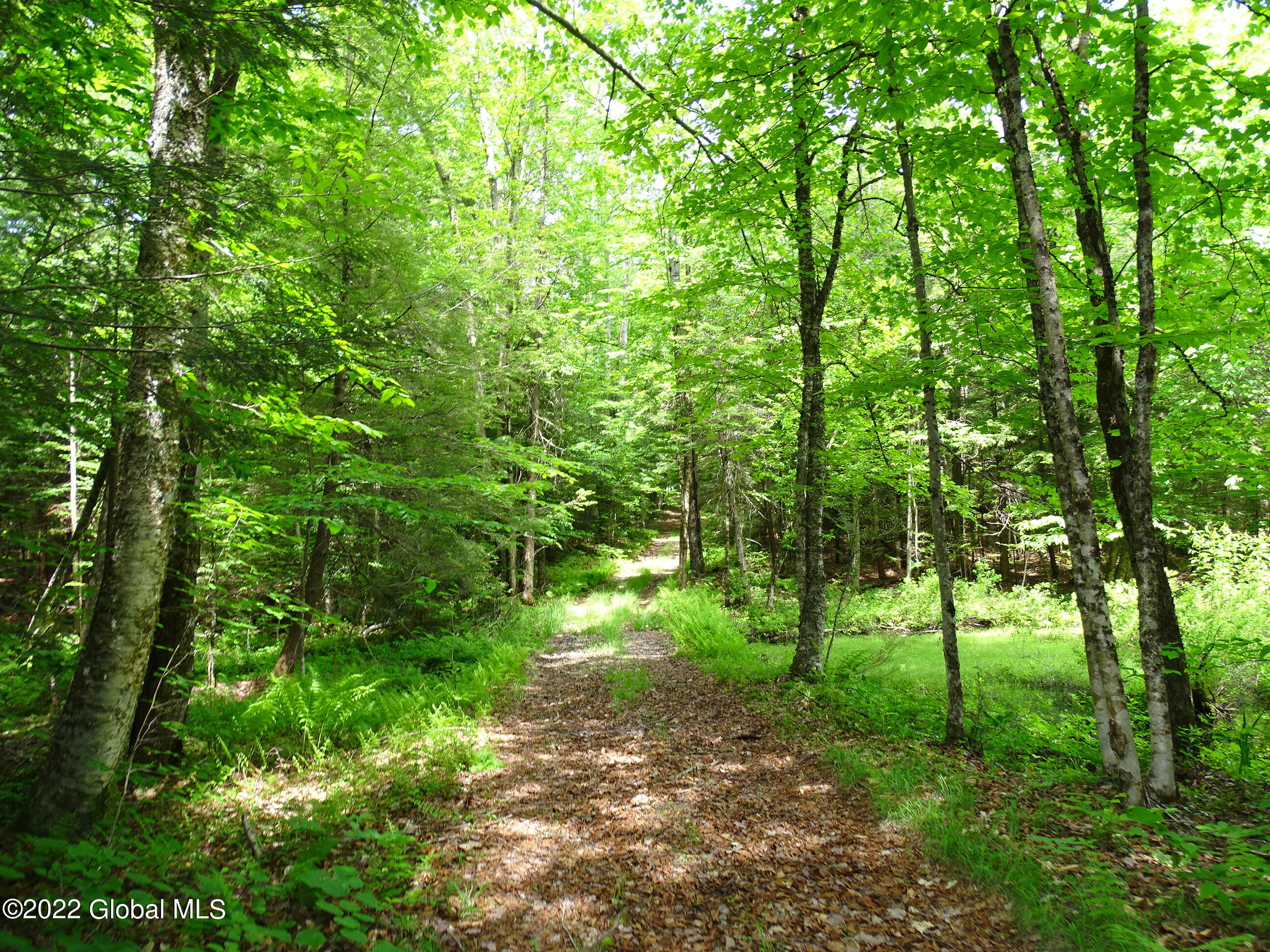 528 Dyken Pond Road, Petersburgh, New York image 26