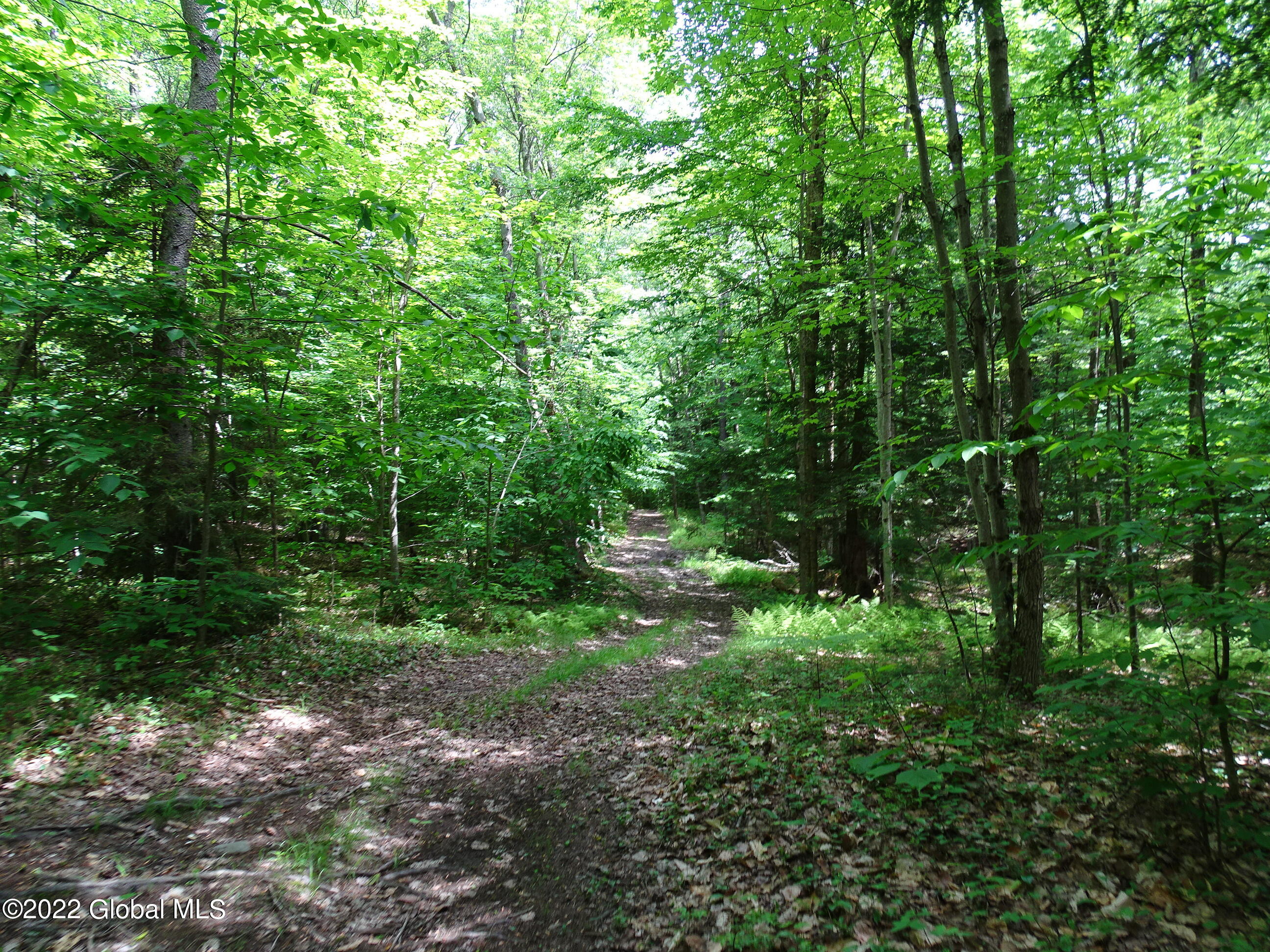 528 Dyken Pond Road, Petersburgh, New York image 27