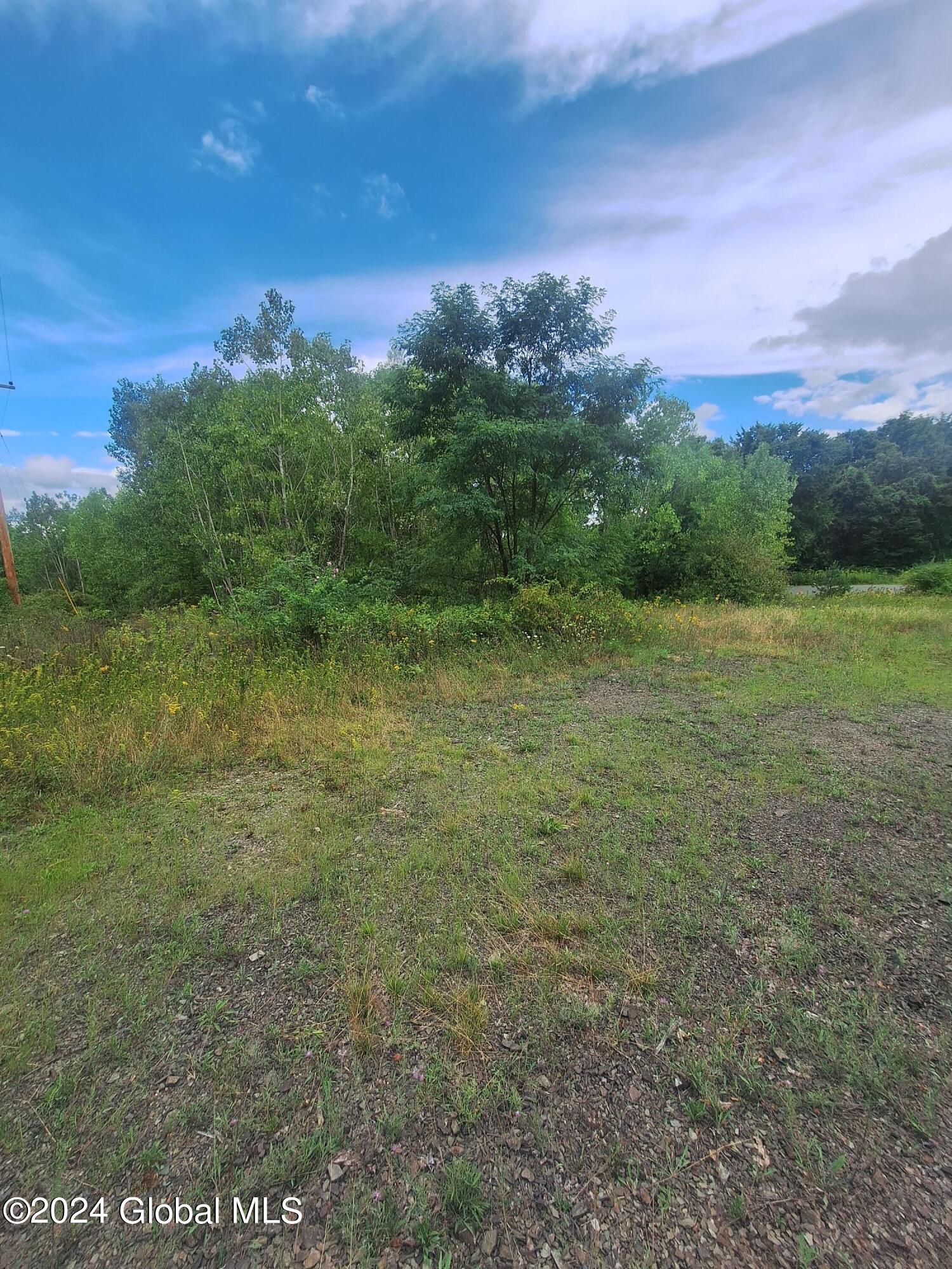 L25.152 Palmer Road, East Greenbush, New York image 4