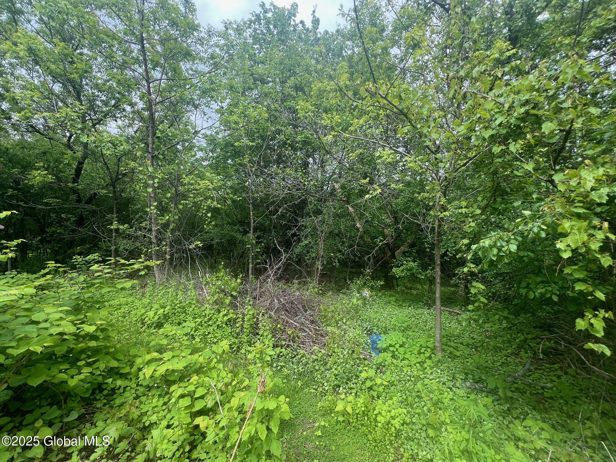 928 Sacandaga Road, Glenville, New York image 17