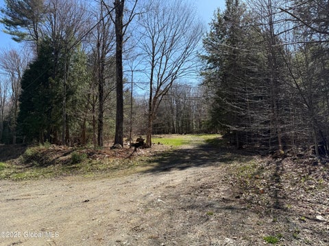 Photo for 339 Military Road
