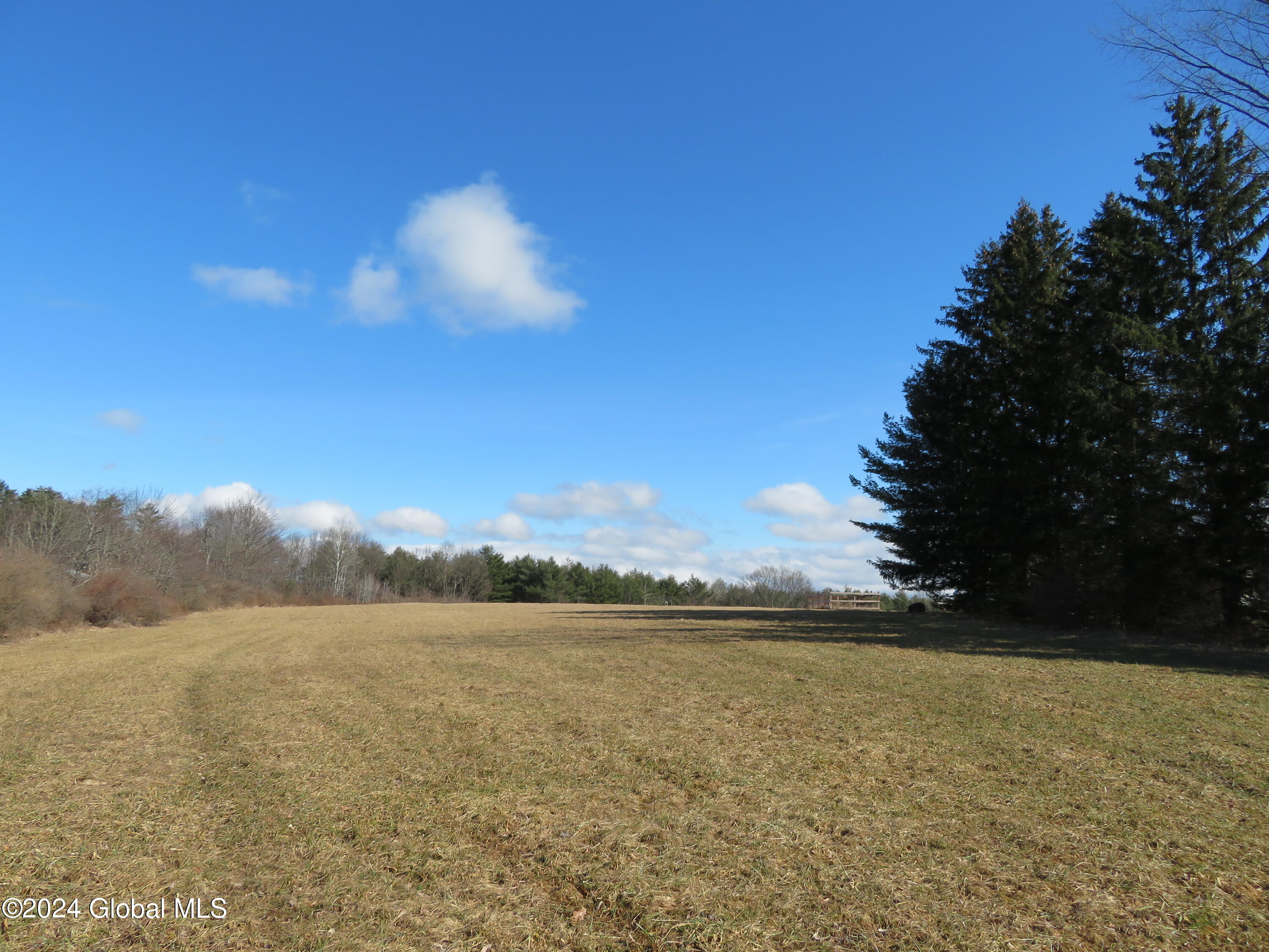 L53.45 Maple Ave Extn, Greenville, New York image 4