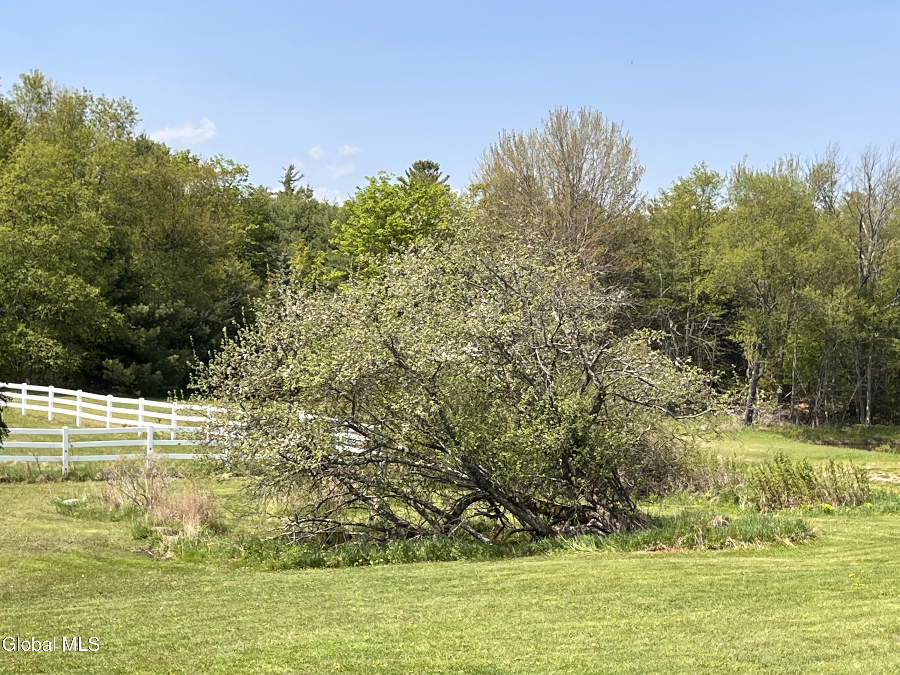 669 Hayesburg Road