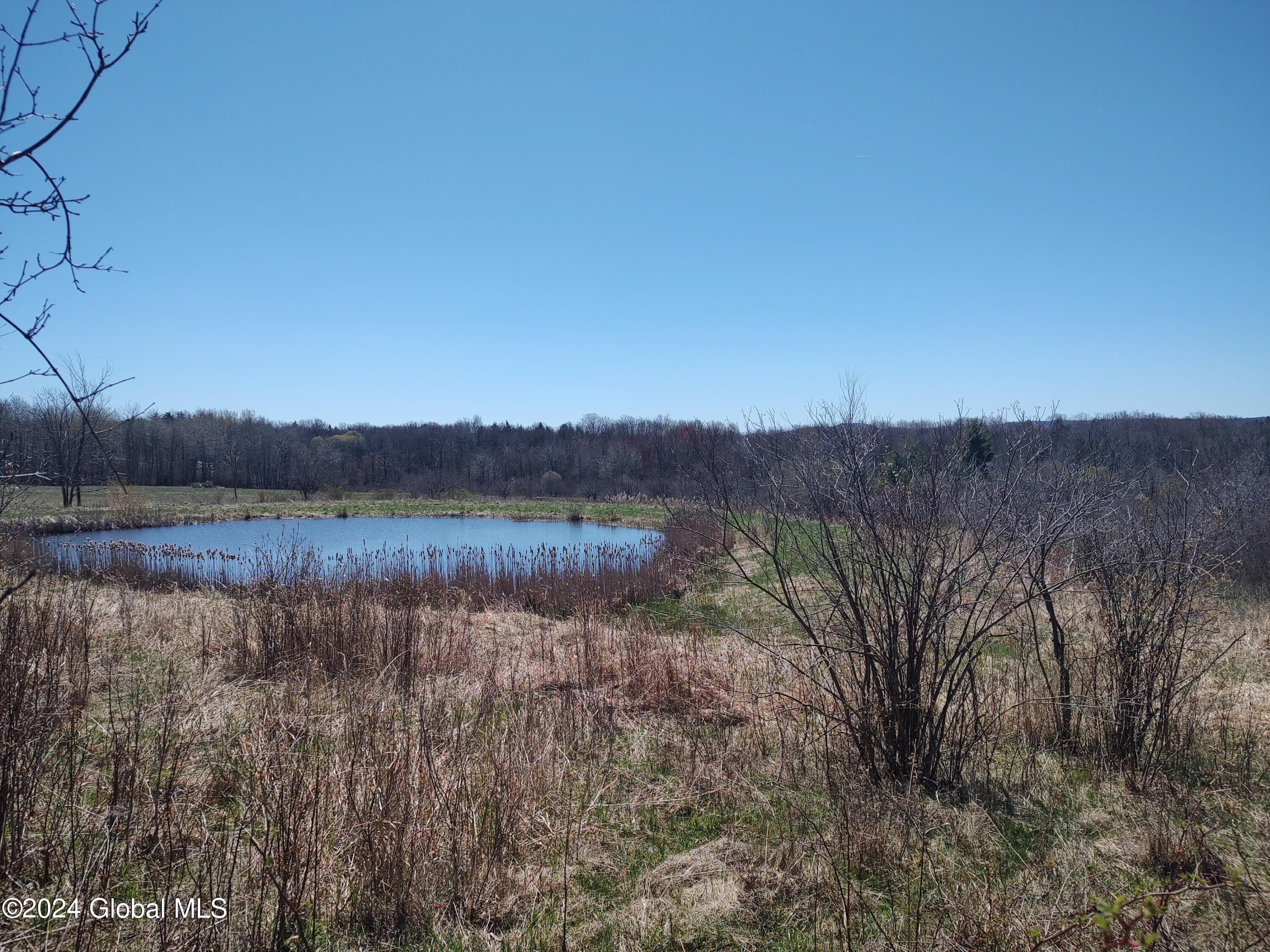 L 13.2 Latimer Hill Rd, Canajoharie, New York image 4