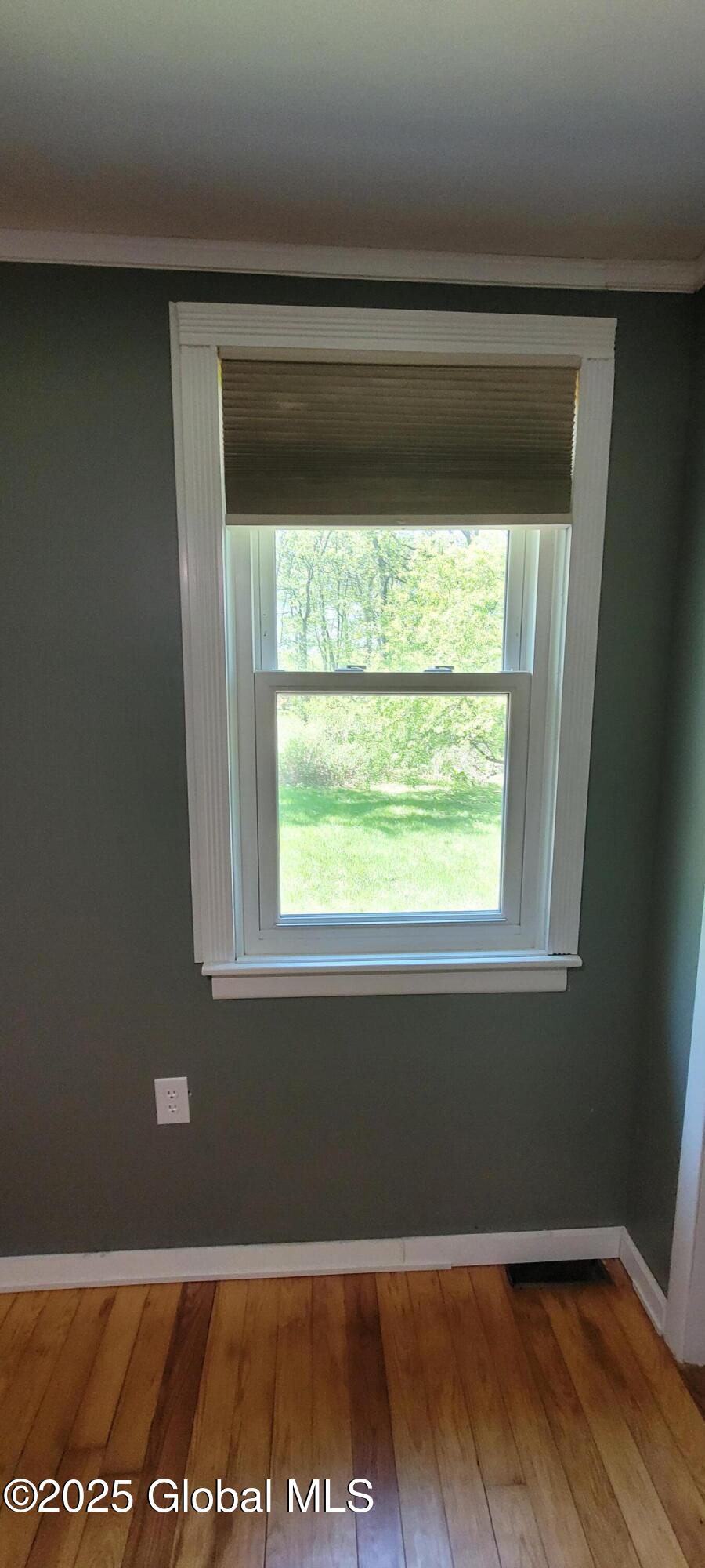 995 River Road, Selkirk, New York image 10
