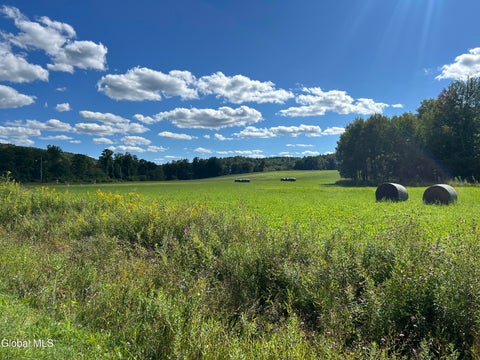 Photo of 711 Gifford Hollow Road, Berne, NY 12023 (MLS # 202625084)