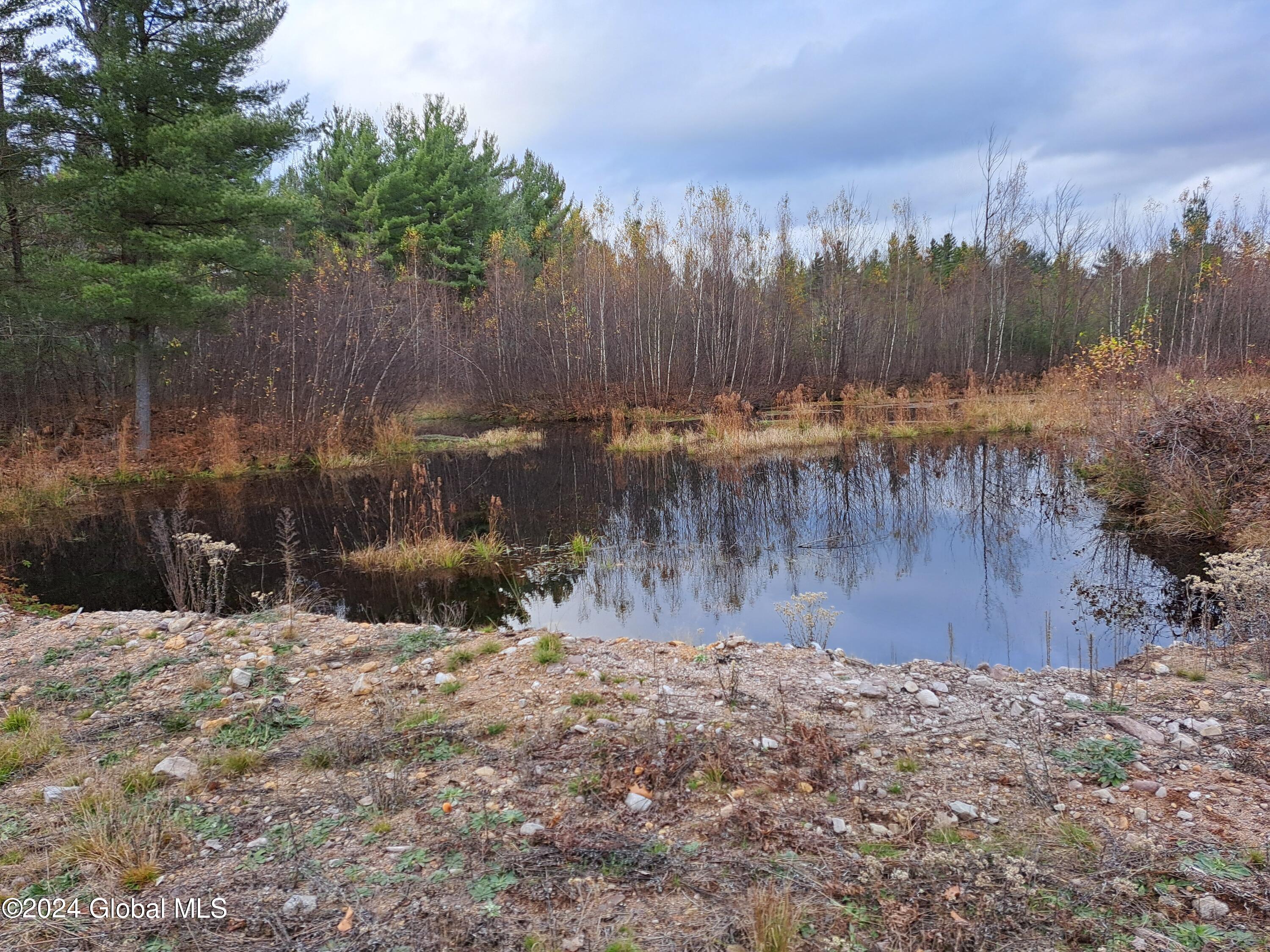 L1.4 Drown Road, Ellenburg Depot, New York image 36