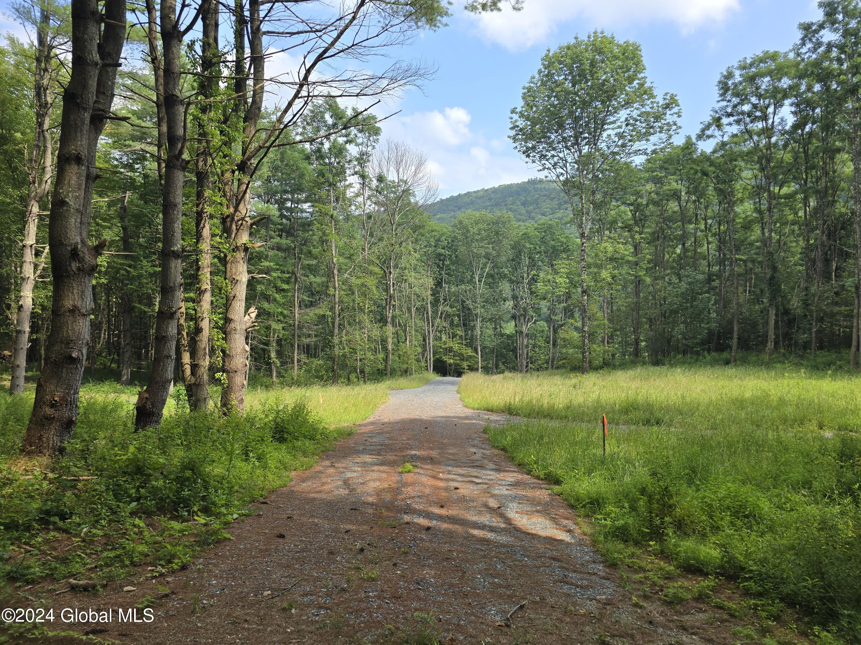L 4 2065 Ny-313, Shushan, New York image 1