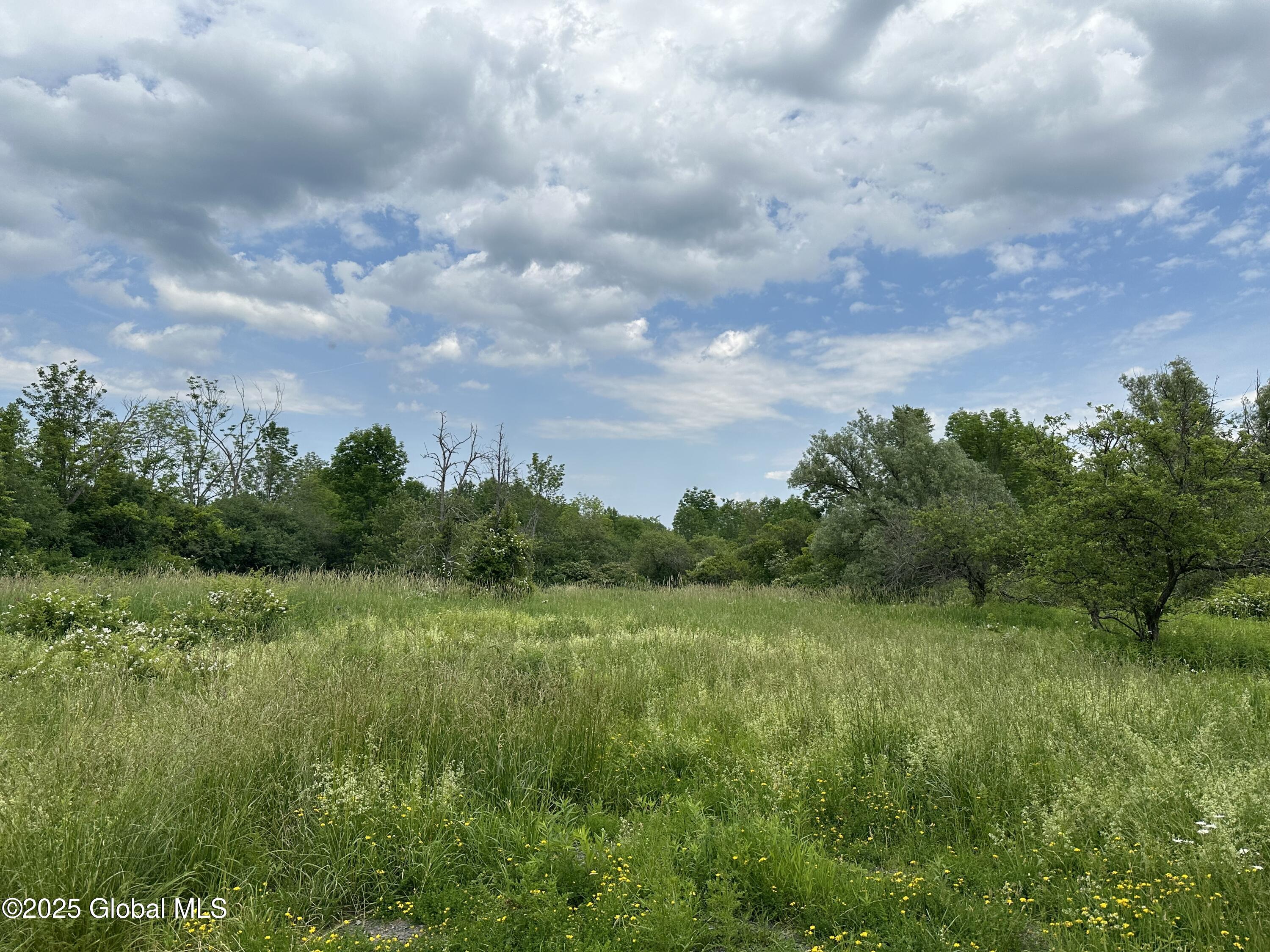 L12 Ofc Vanderwerken Road, Carlisle, New York image 1