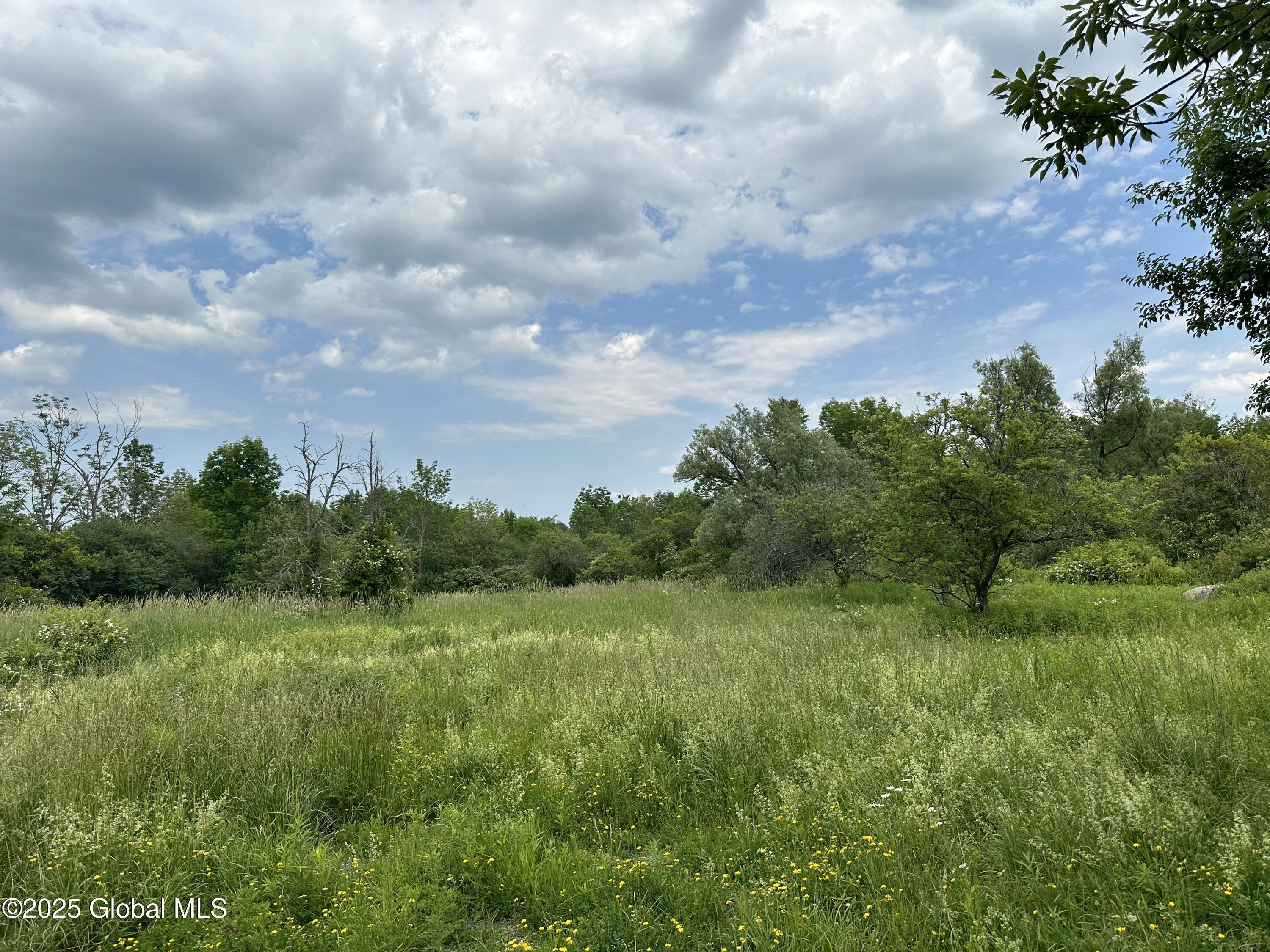 L12 Ofc Vanderwerken Road, Carlisle, New York image 4