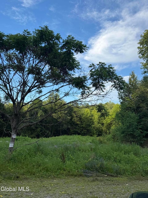 Vacant Land For Sale - 370 Carrera Lane<br/> Washington County, Granville, NY 12832