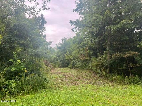 Vacant Land For Sale - L27.112 Golf Course Road<br/> Montgomery County, Amsterdam, NY 12010