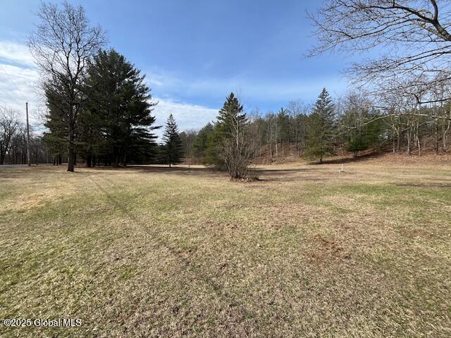 629 Valley Road, Freehold, New York image 4