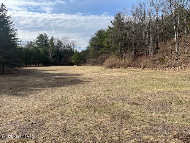629 Valley Road, Freehold, New York image 9