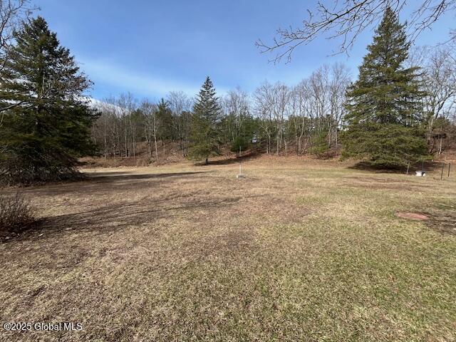 629 Valley Road, Freehold, New York image 5