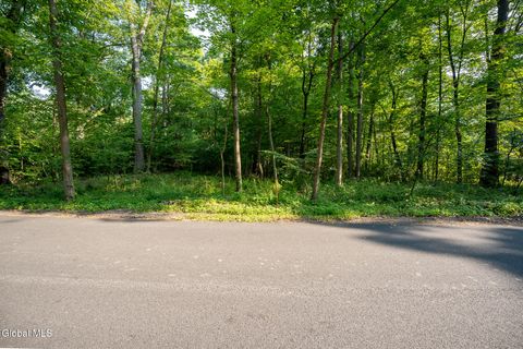 Photo of 47 Wheeler Road, Glenmont, NY 12077 (MLS # 202611865)