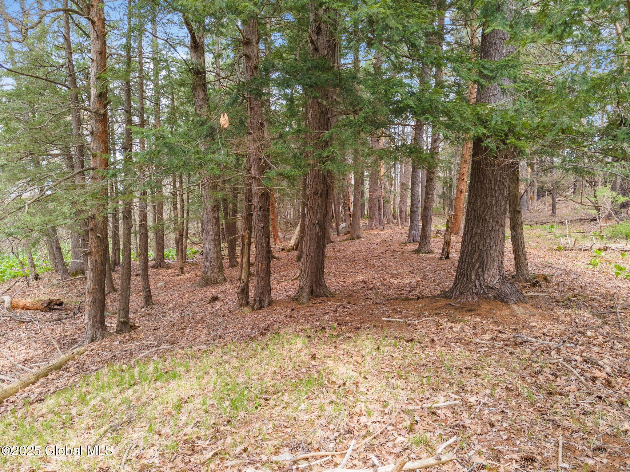 612 Riverview Road, Rexford, New York image 6
