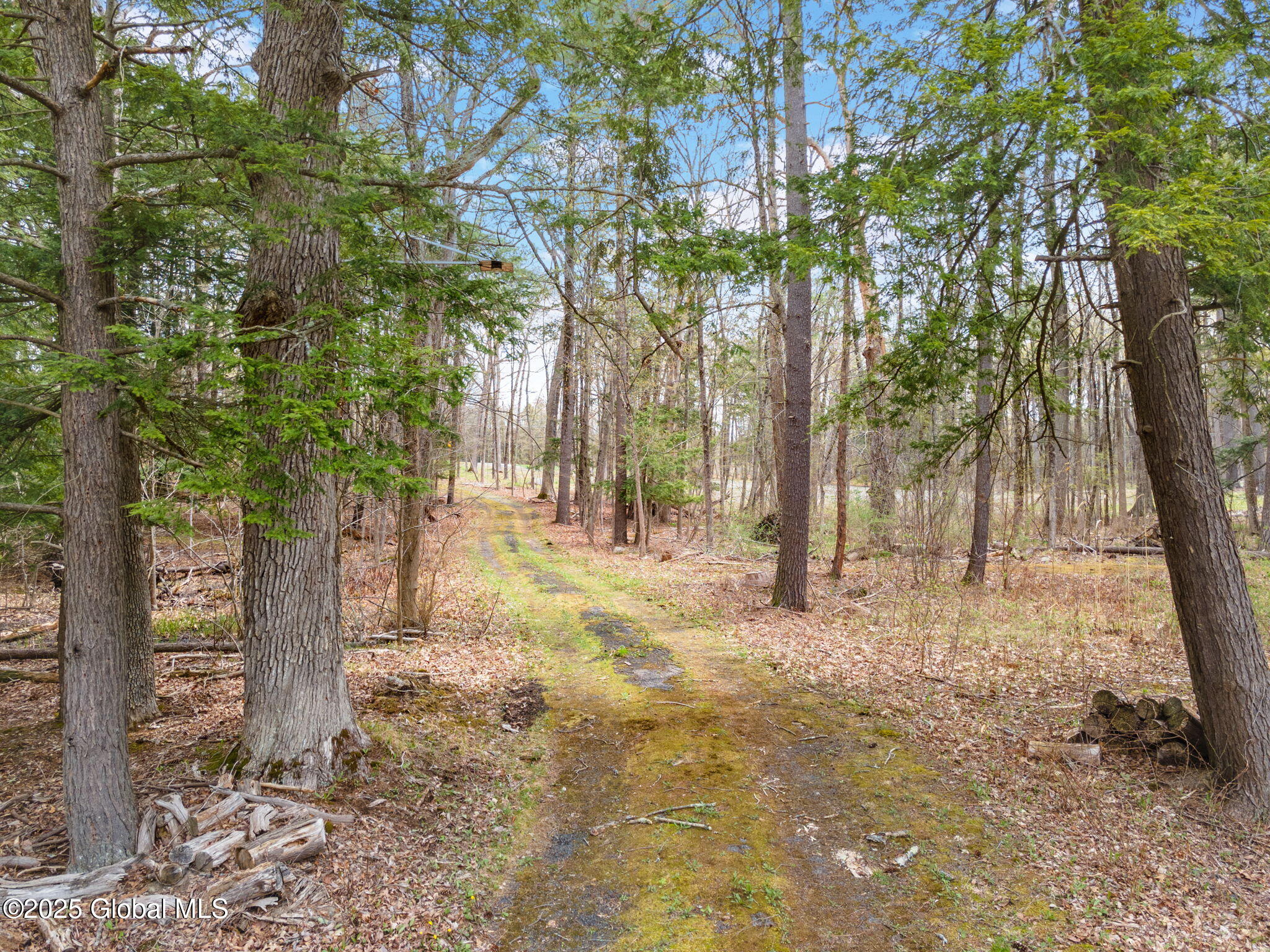 612 Riverview Road, Rexford, New York image 5