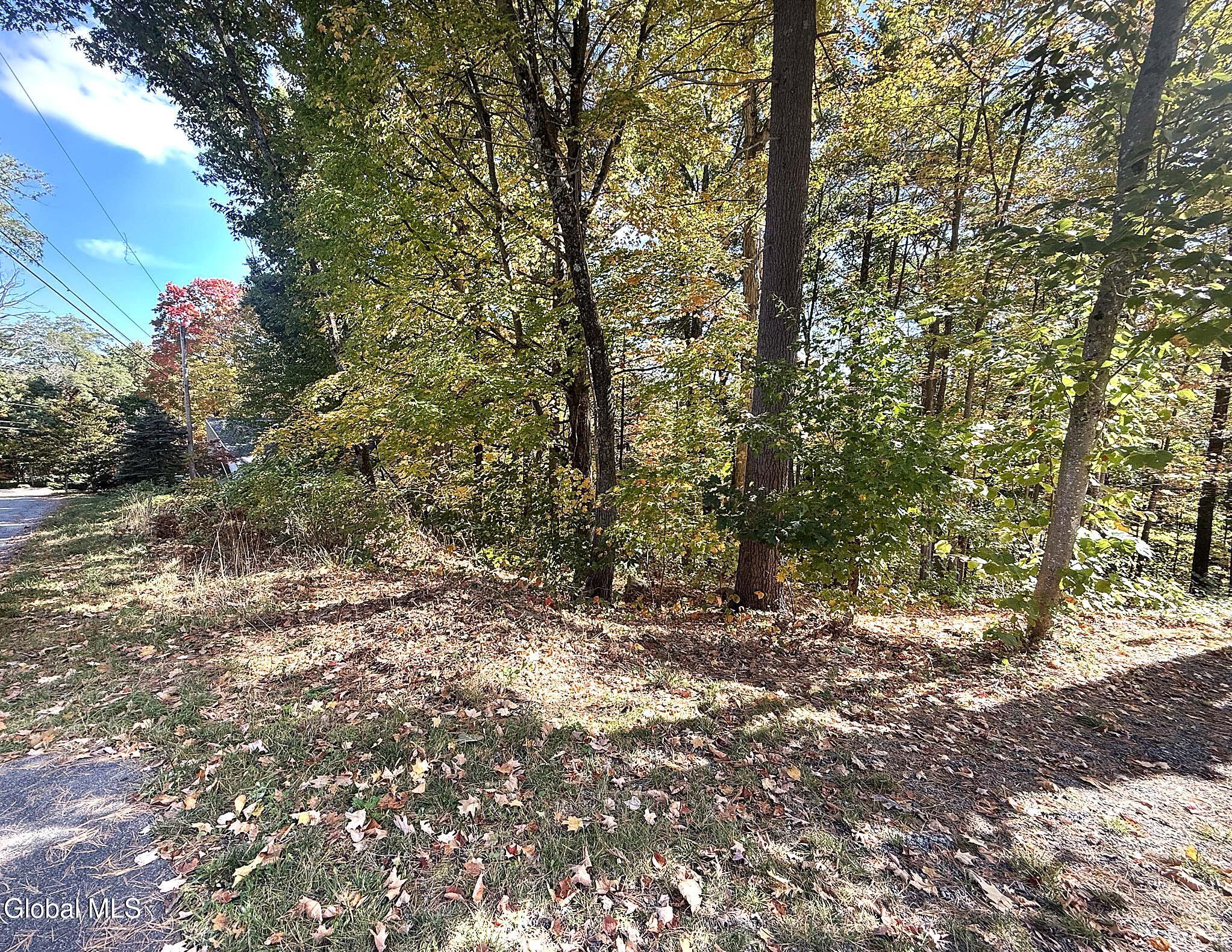 32 Schermerhorn Drive