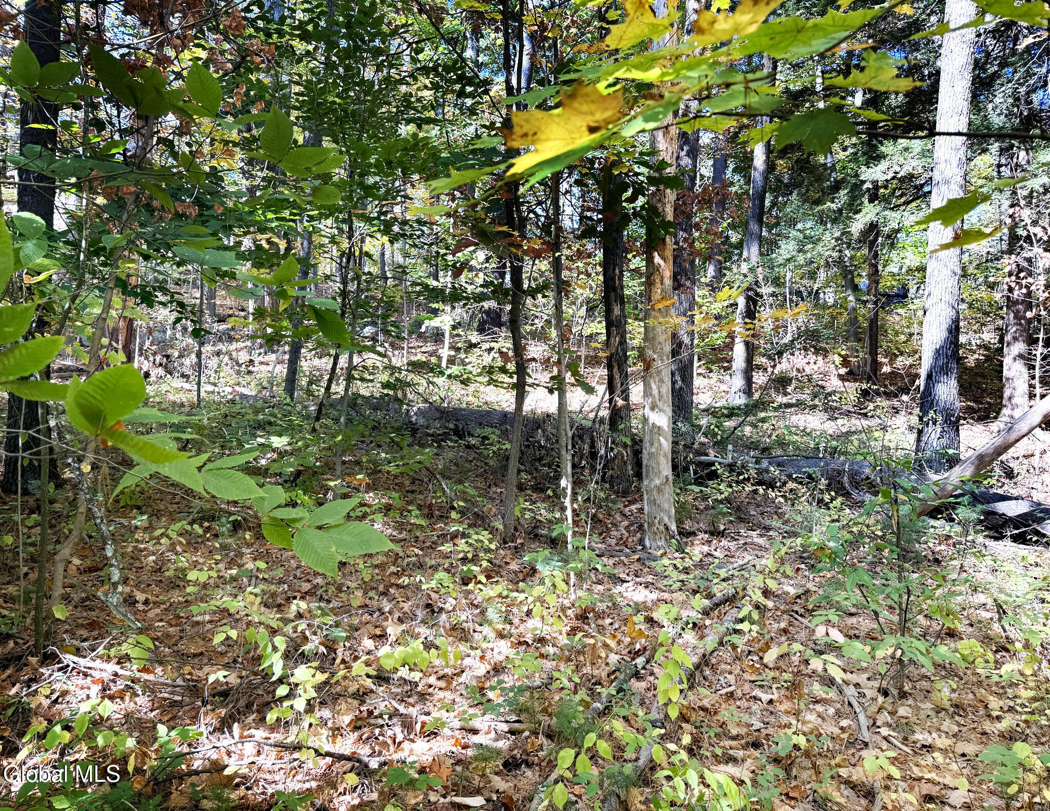 32 Schermerhorn Drive