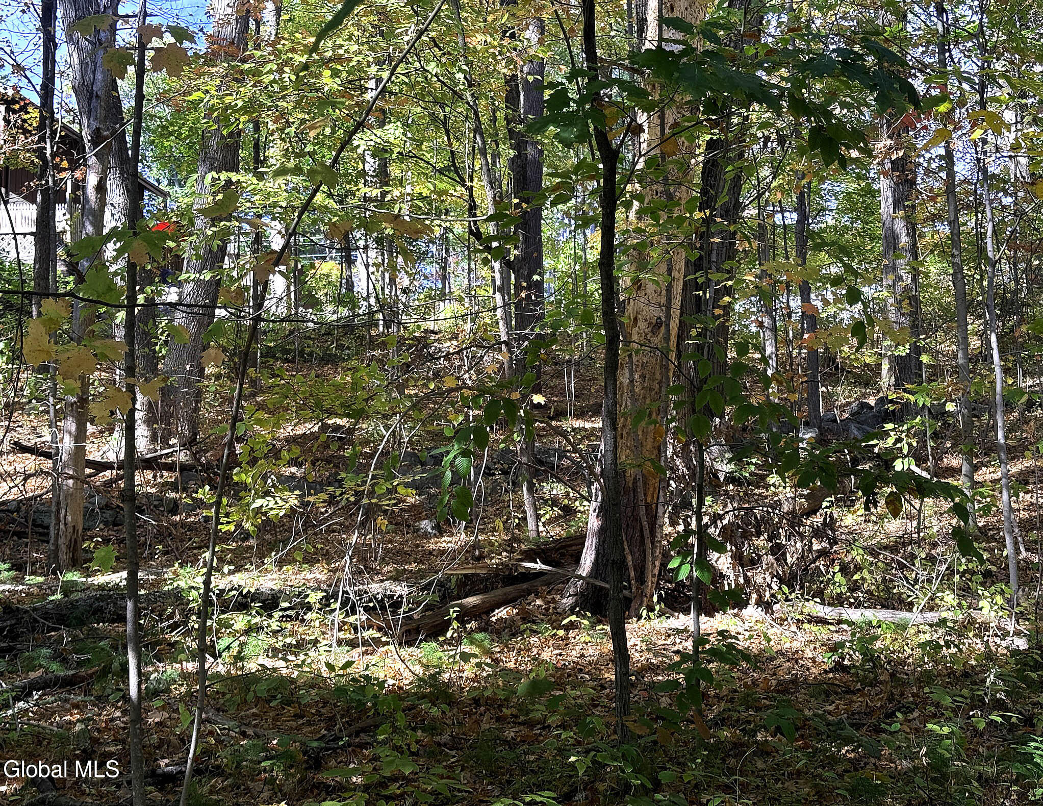 32 Schermerhorn Drive