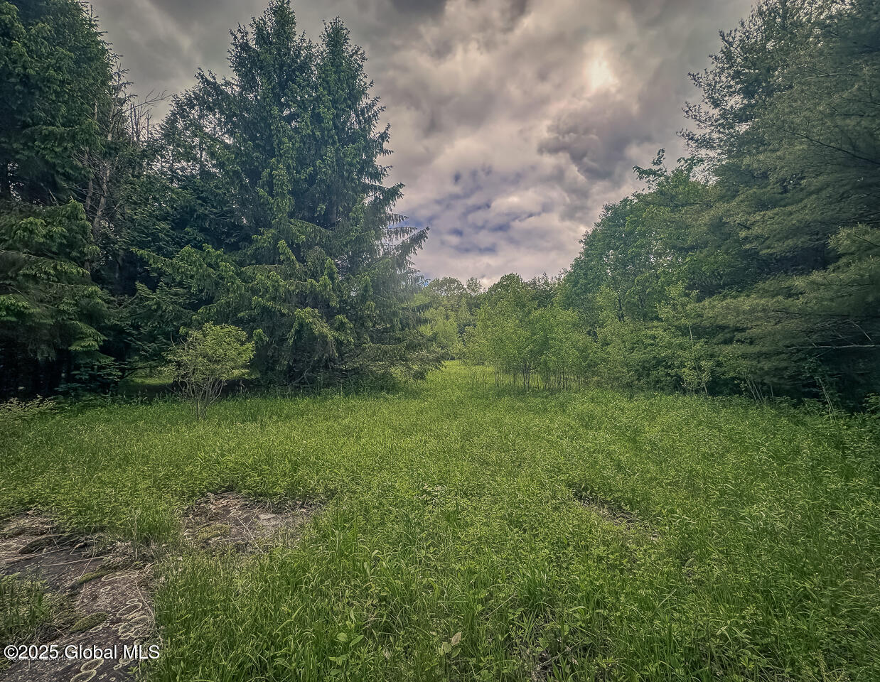 L1 State Highway 67, Johnstown, New York image 9