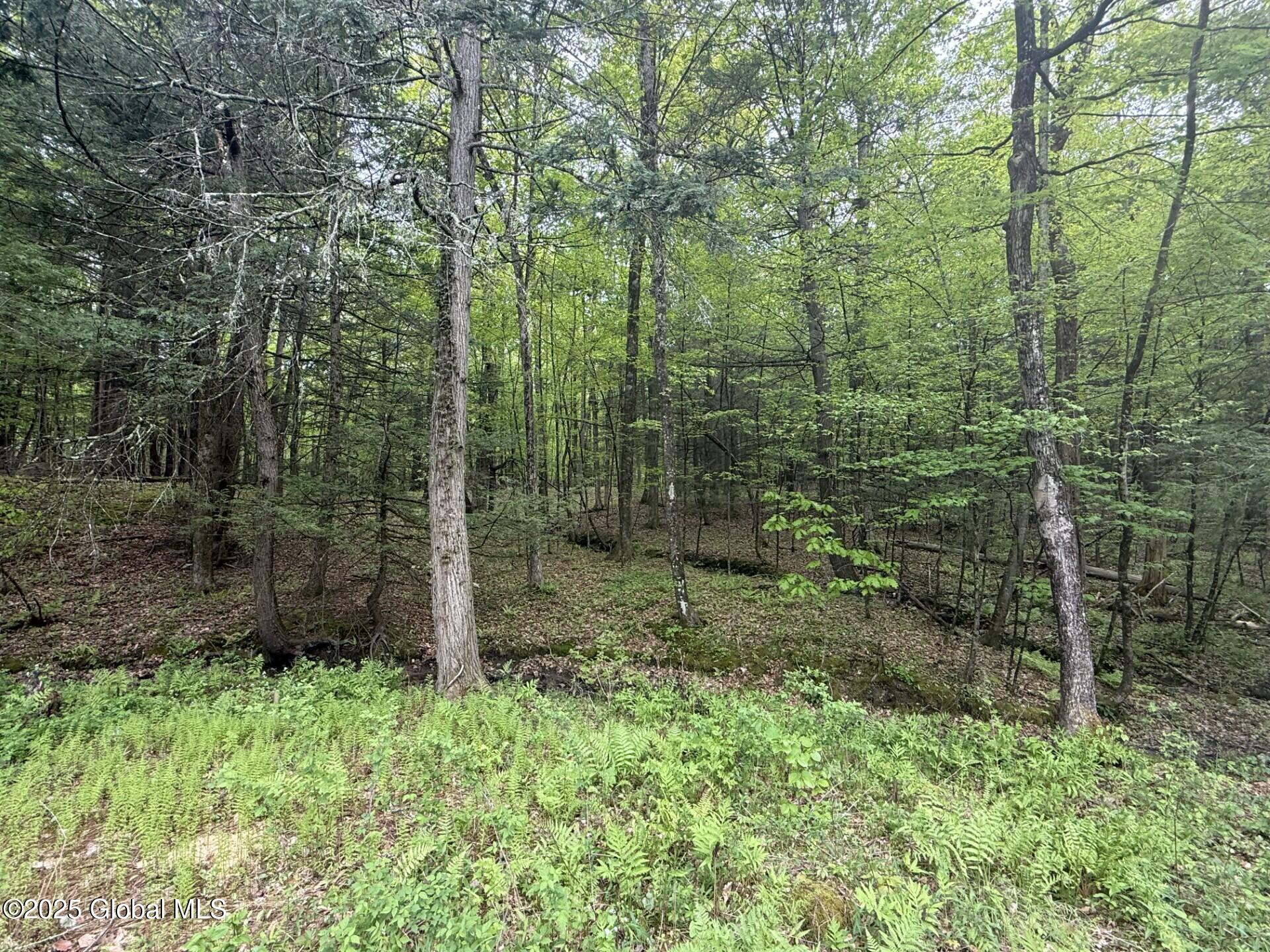 329 Millers Corners Road, East Greenbush, New York image 35