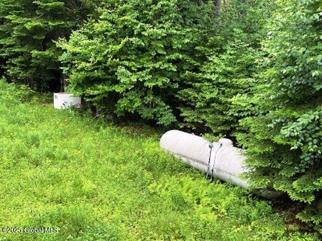 11 Beaureguard Way, Minerva, New York image 17