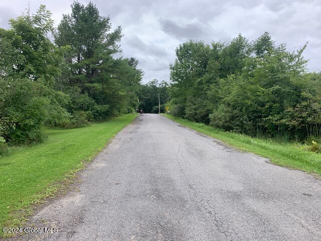 756 Wells Road, Pattersonville, New York image 24