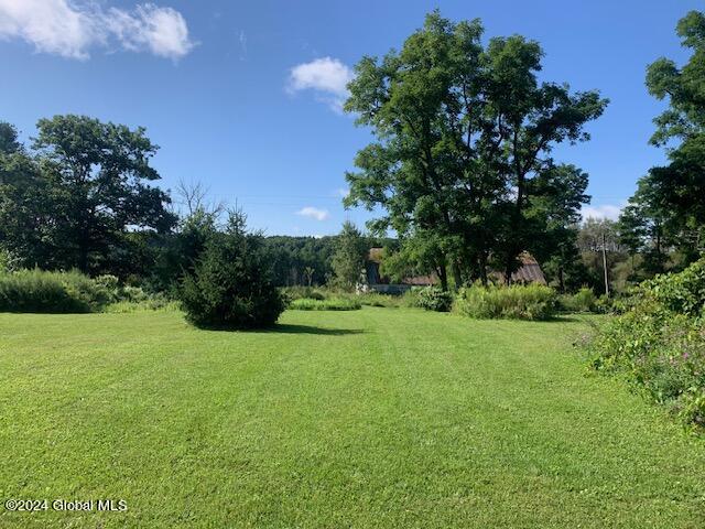 756 Wells Road, Pattersonville, New York image 19