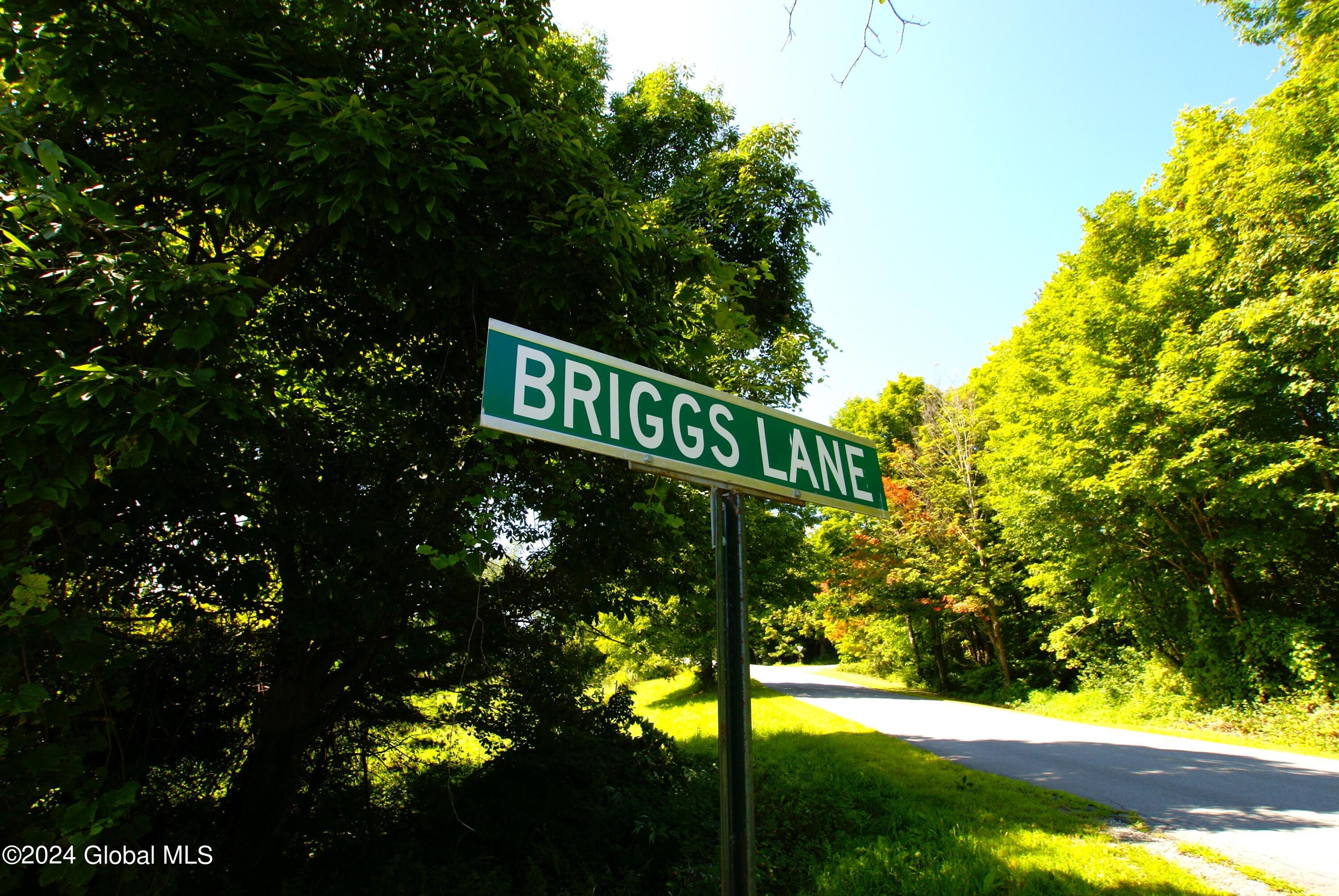 L48.1 Briggs Ln Lane, Granville, New York image 6