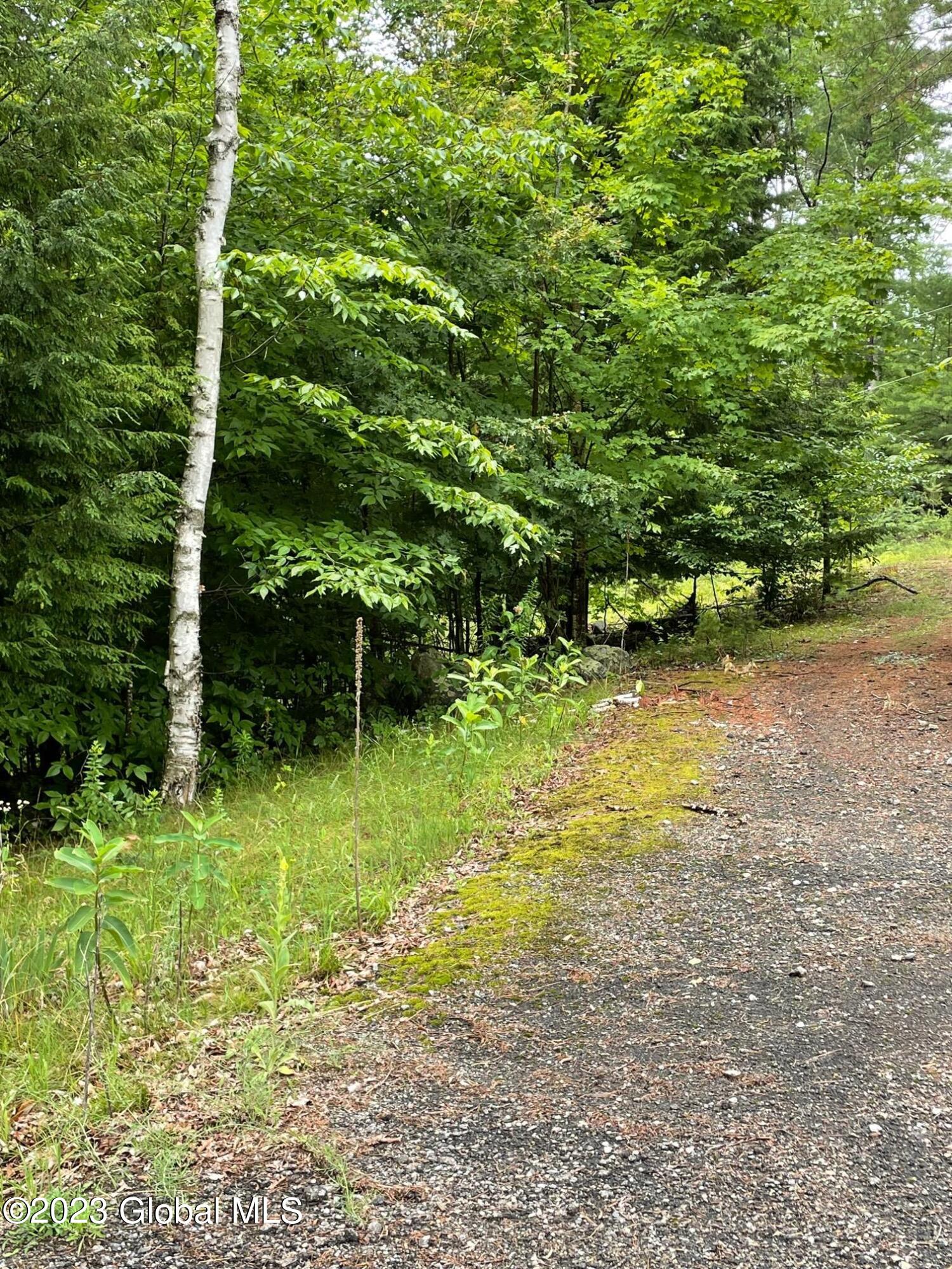 61 Snowshoe Ridge, Warrensburg, New York image 5