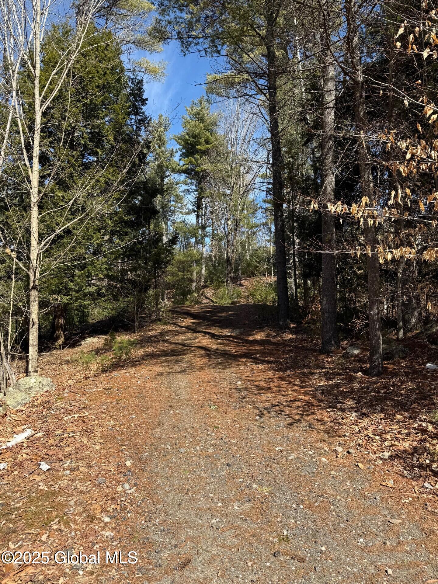 61 Snowshoe Ridge, Warrensburg, New York image 9