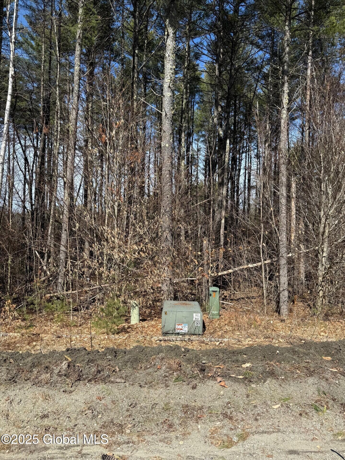 61 Snowshoe Ridge, Warrensburg, New York image 7