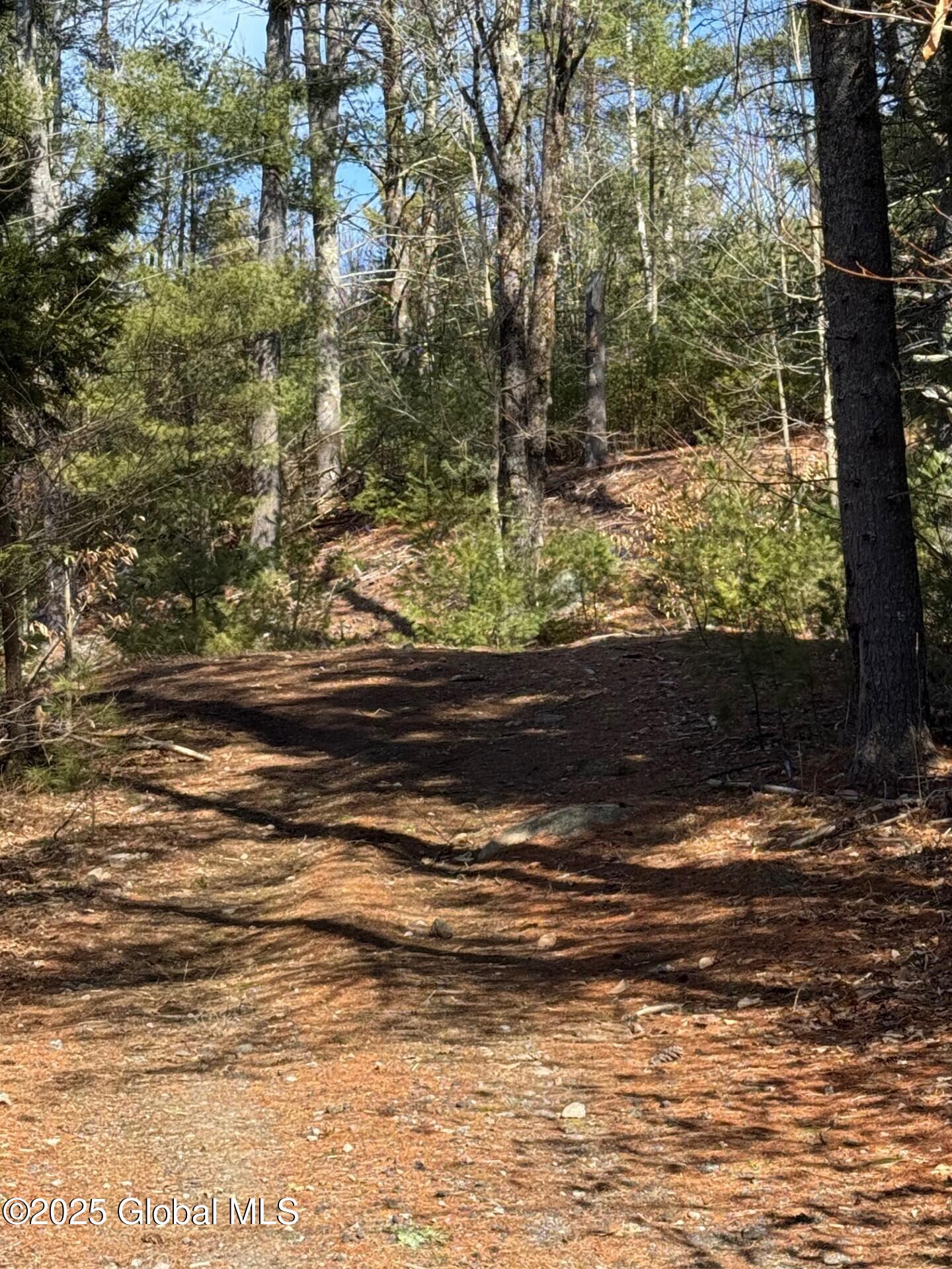 61 Snowshoe Ridge, Warrensburg, New York image 8