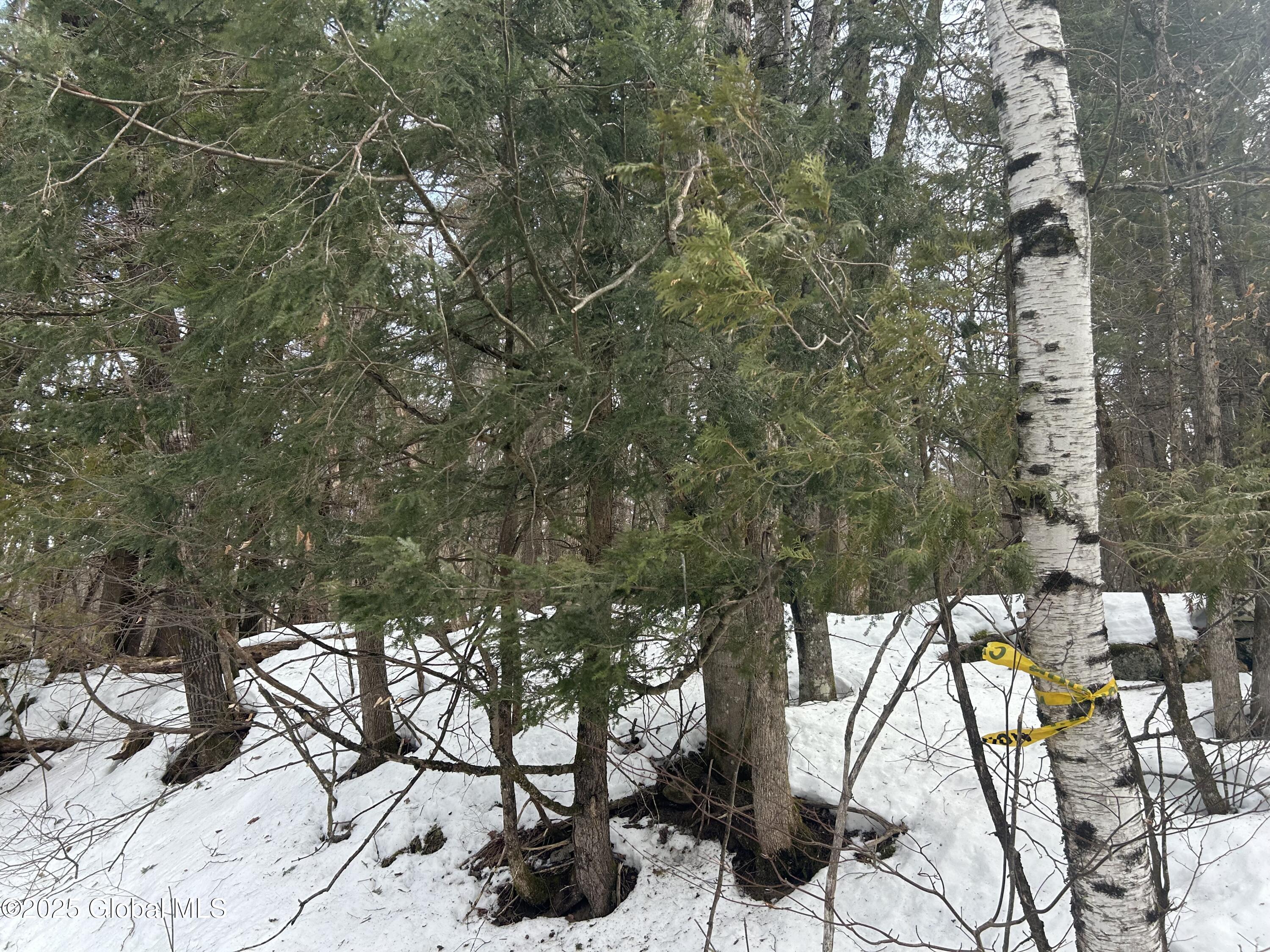 L22 -24 Hogback Rd, Crown Point, New York image 5