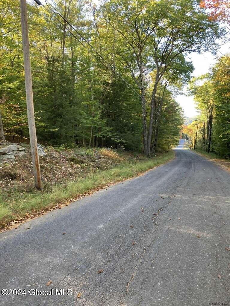 Hall Hill Road, Lake Luzerne, New York image 1