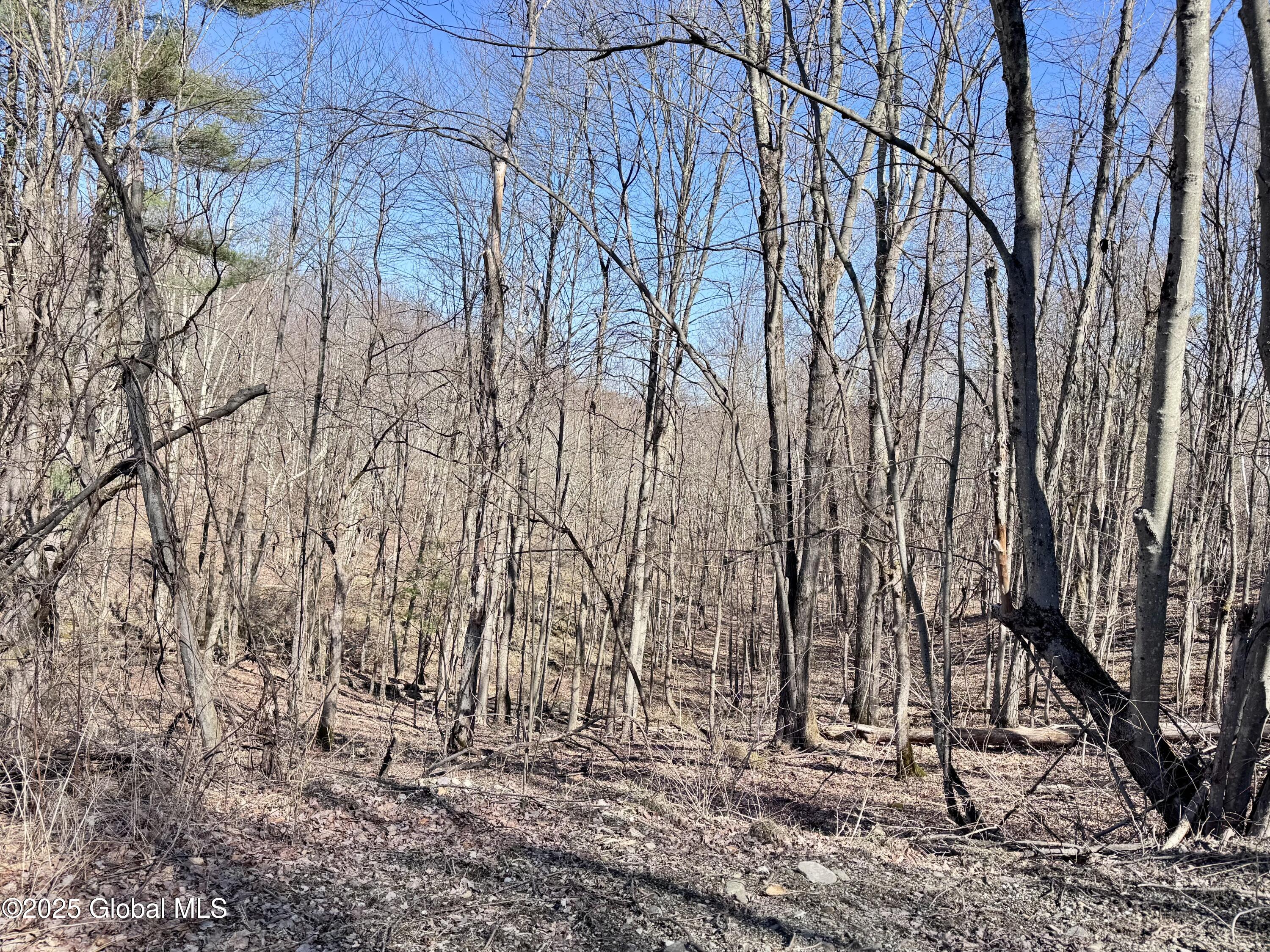 L22 Ryan Road, Greenwich, New York image 6