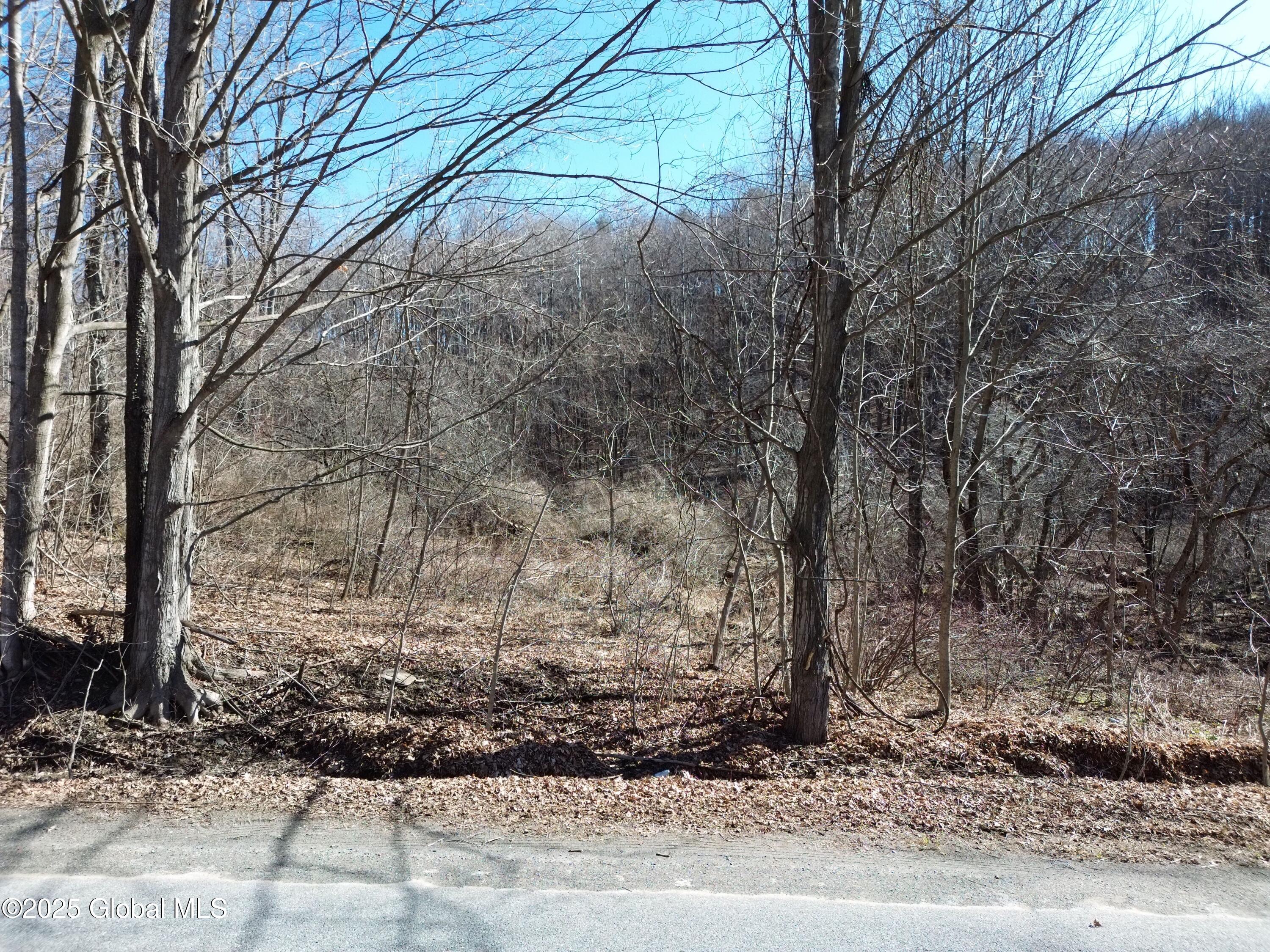 L22 Ryan Road, Greenwich, New York image 2